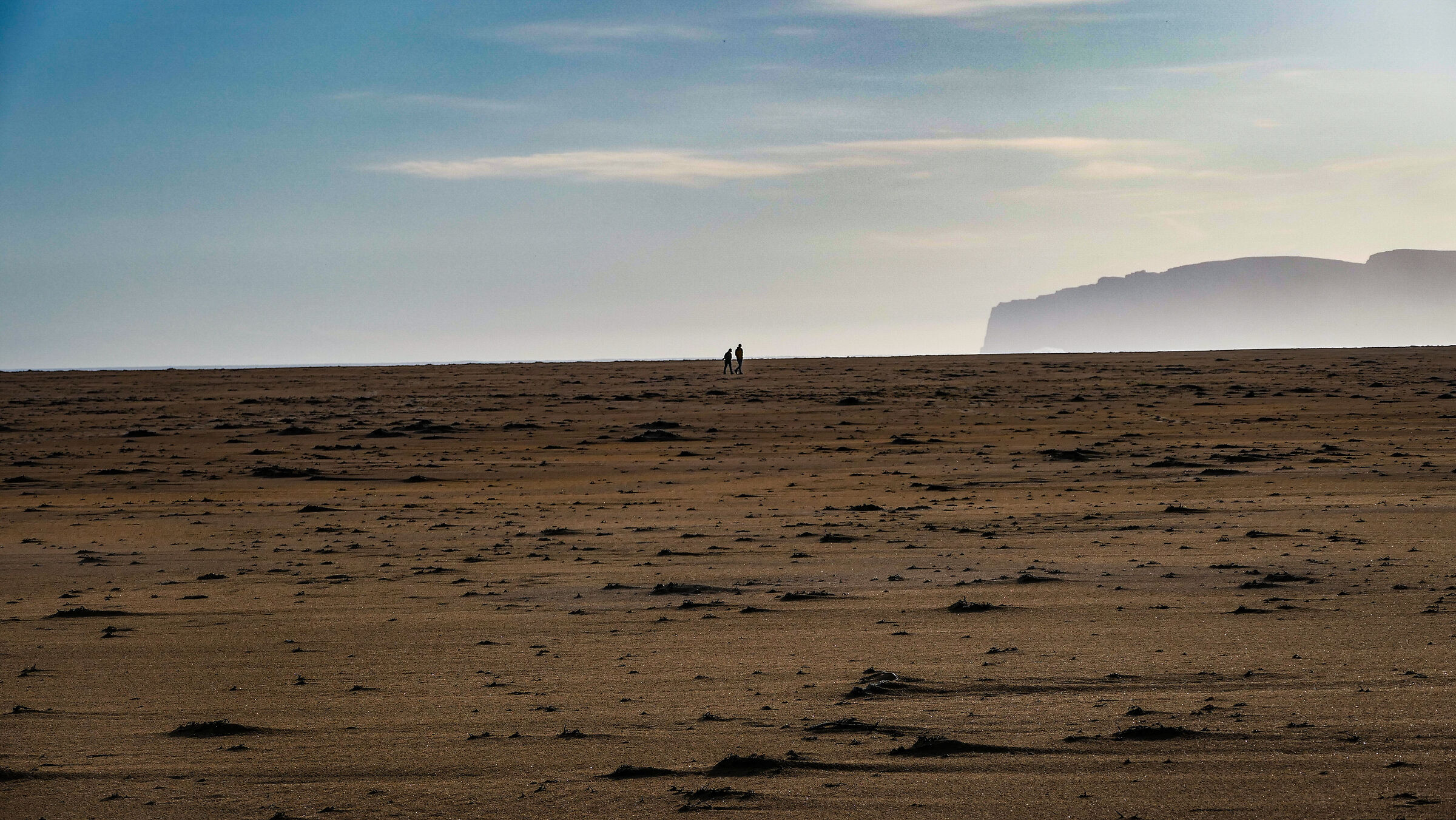Beach or desert?