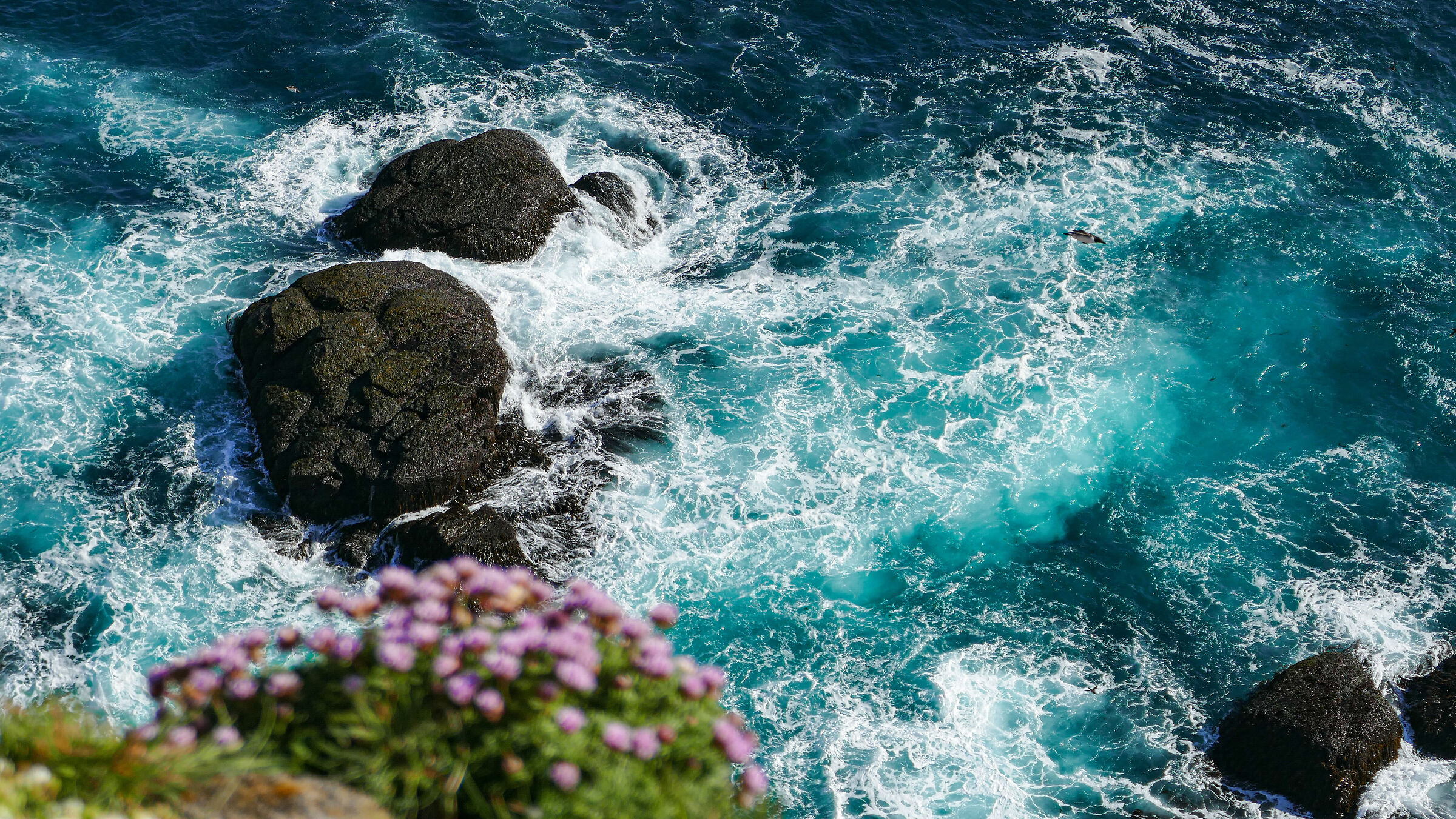 North Sea