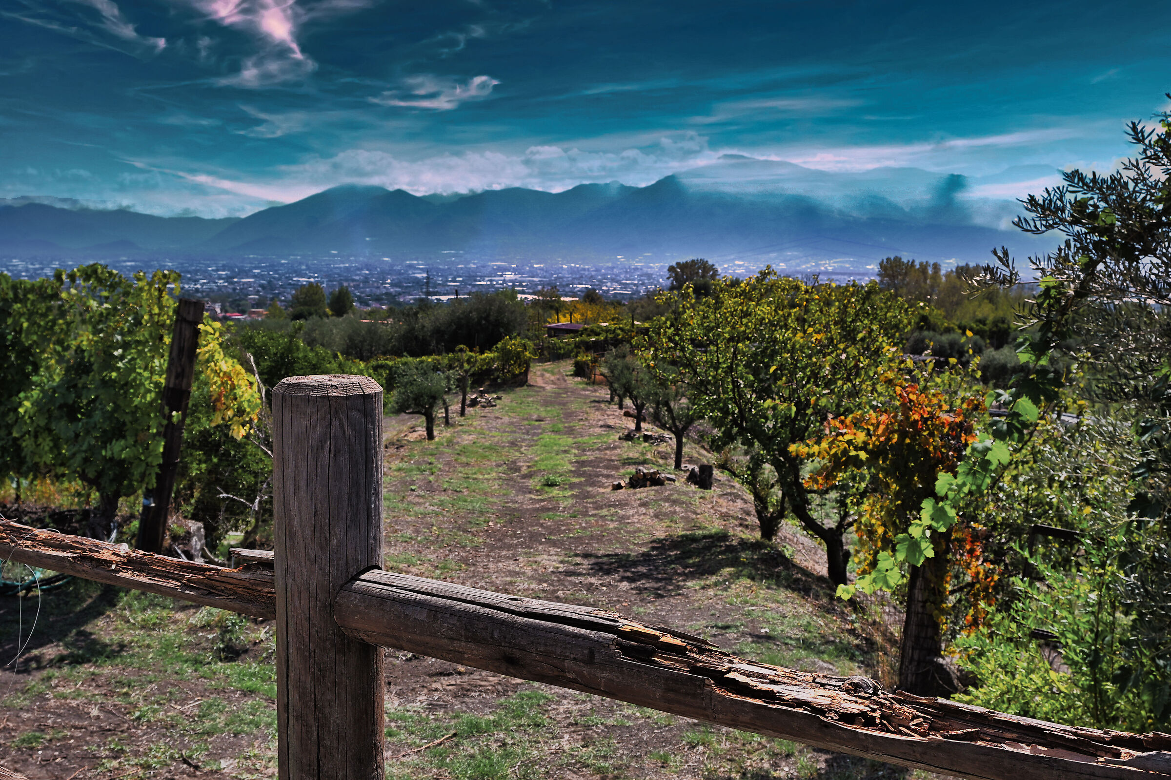 Giorno della Vendemmia Tenuta Sorrentino Boscoreale