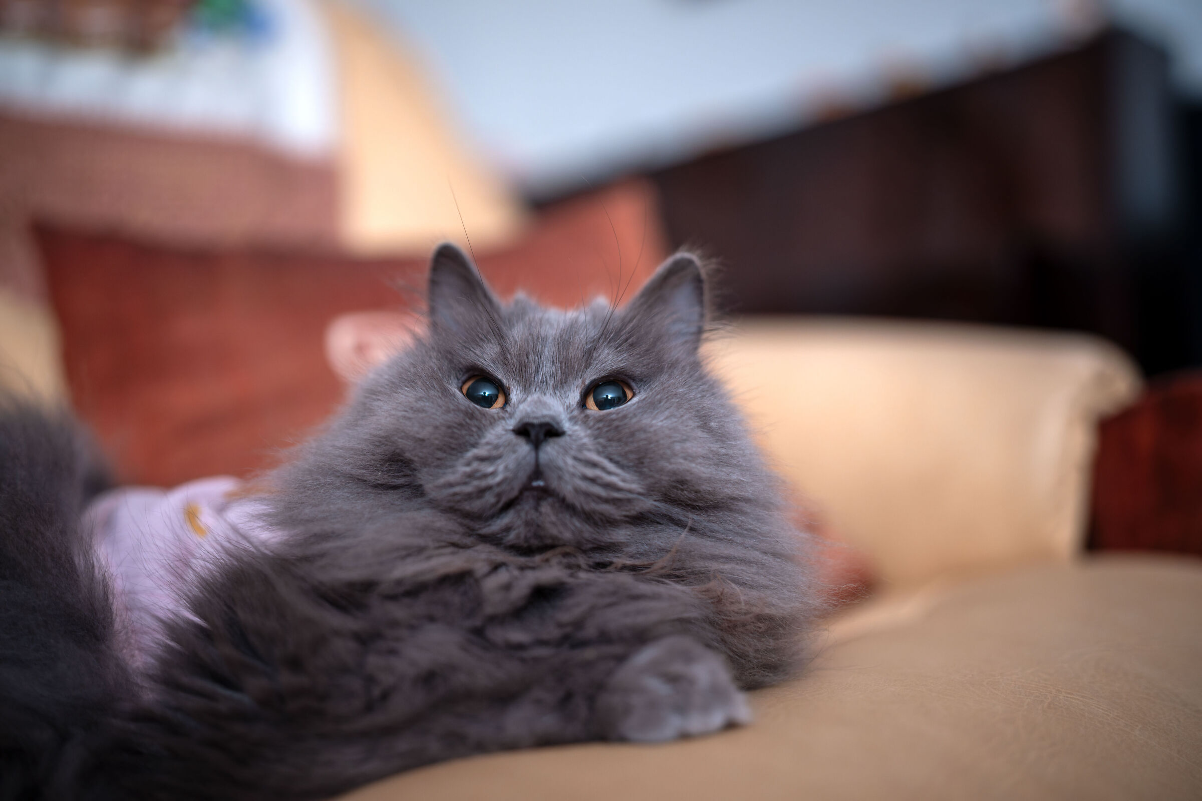 Sofia with the Viltrox 35mm f/1.2 Lab