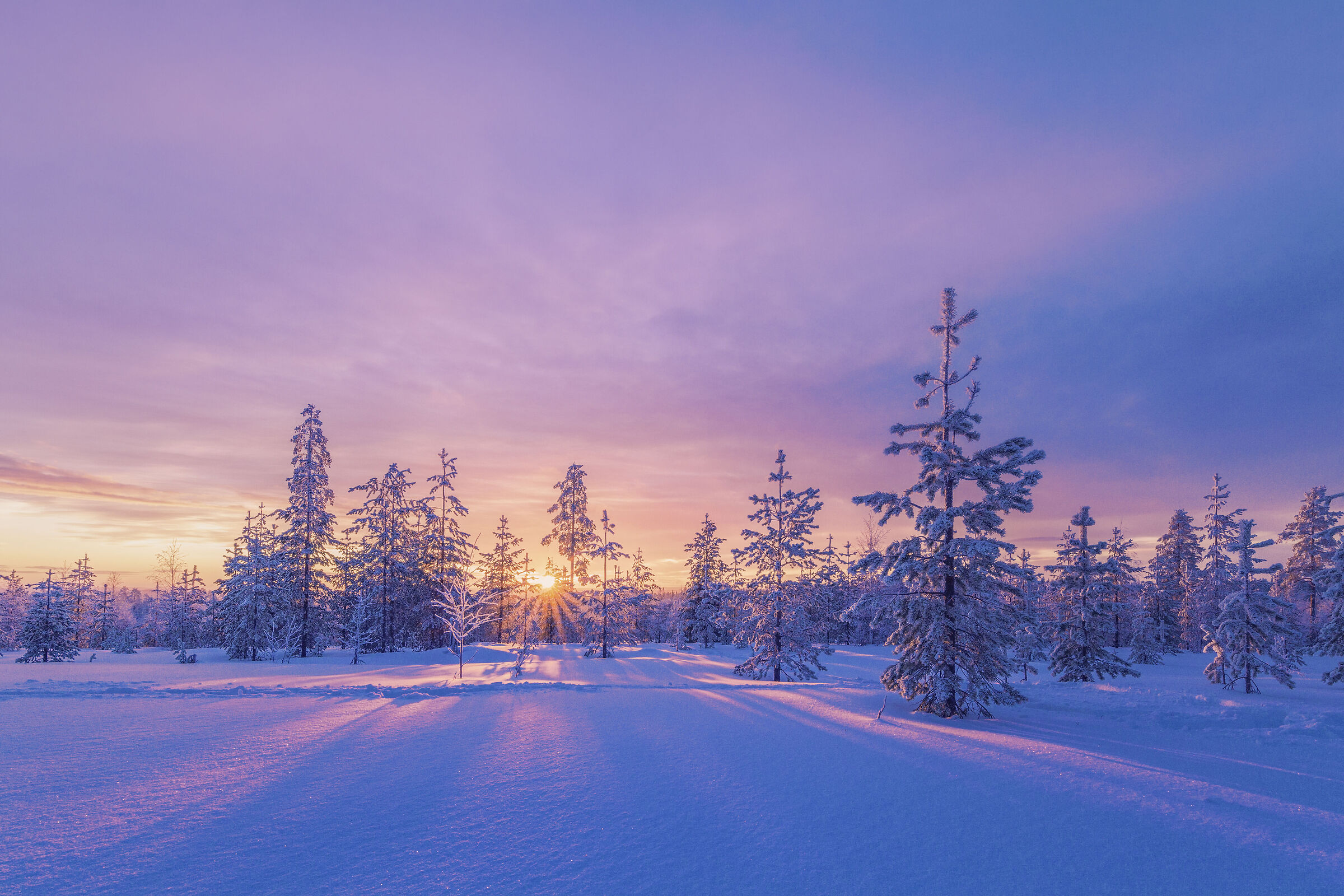 Oh oh oh! Rovaniemi colors
