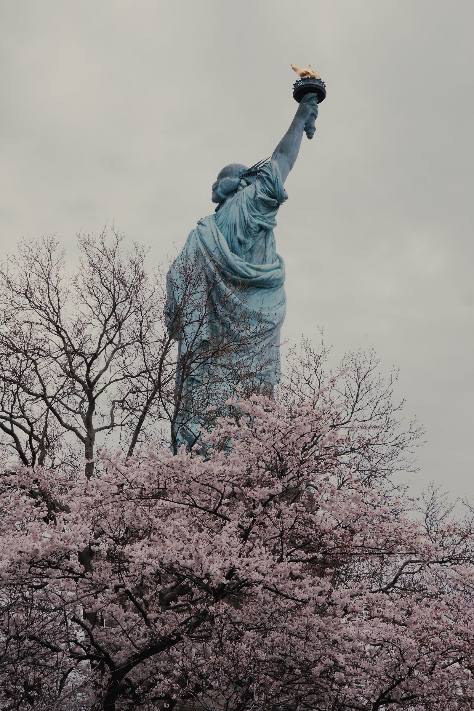 Lady Liberty