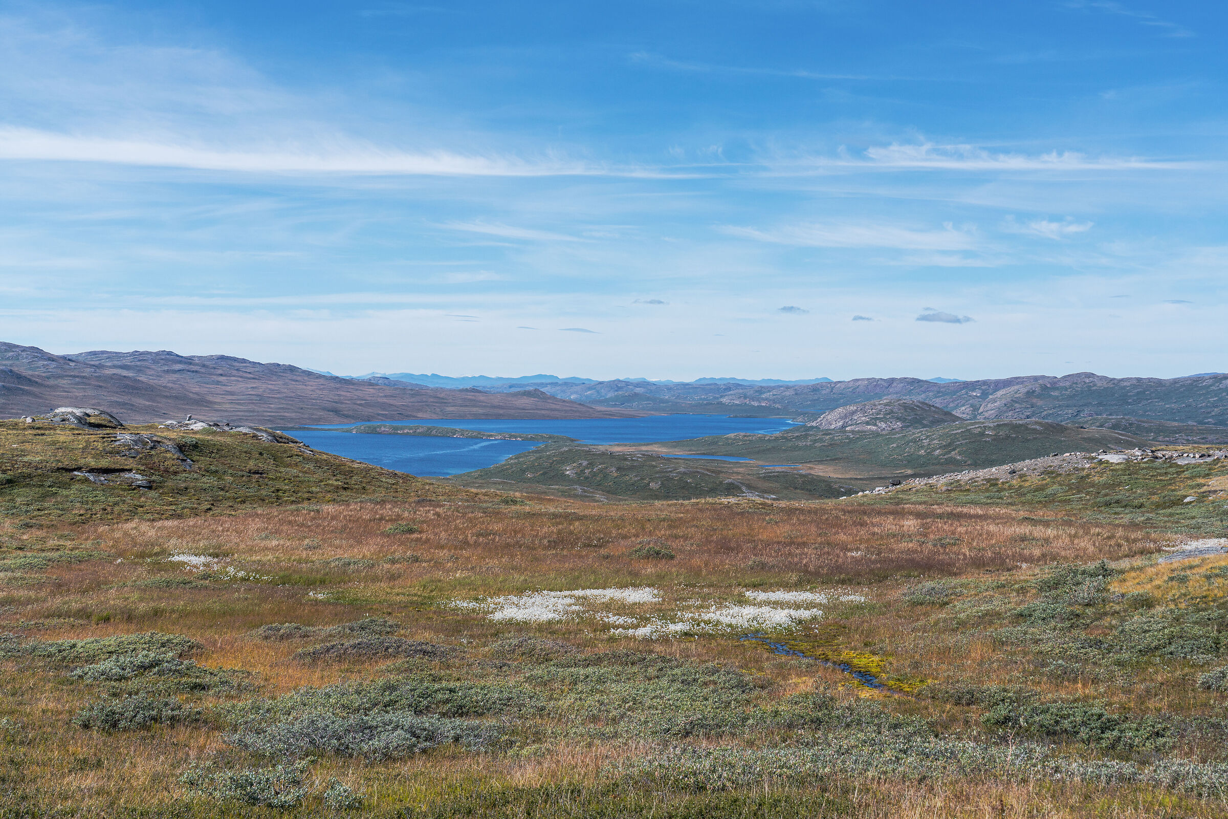 Kangerlussuaq Tundra