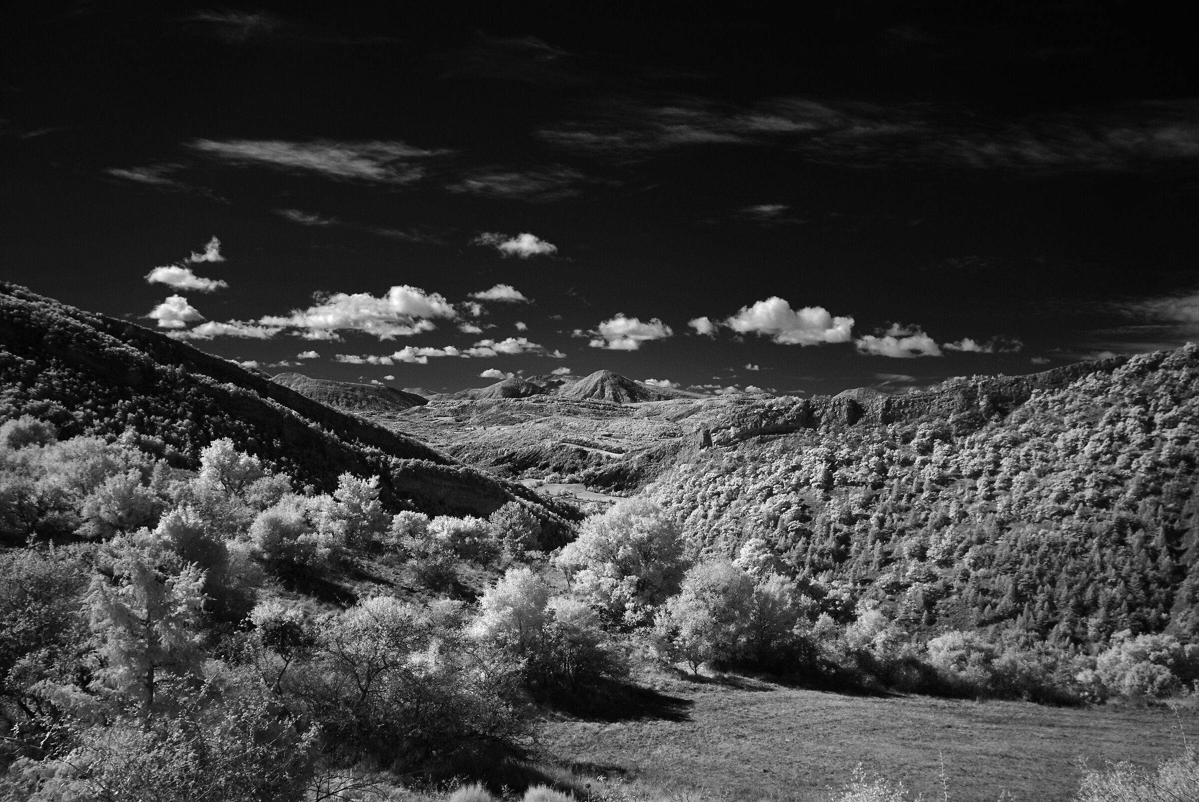 Near Bourdeaux (Drome)