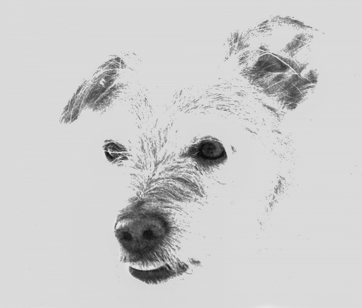 I miss you my friend