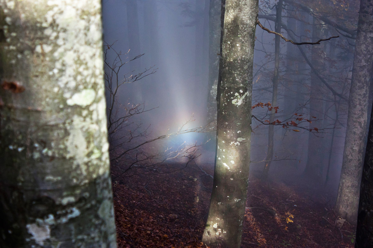 Arcobaleno nel bosco