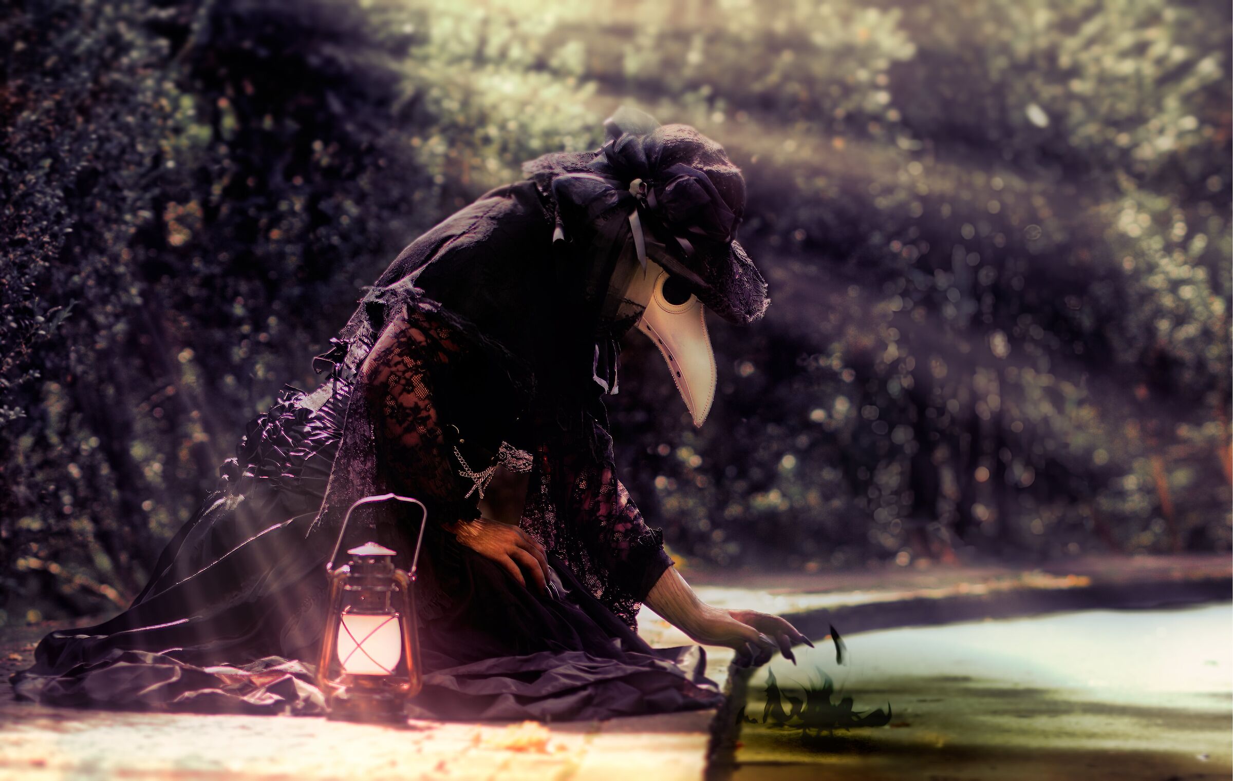 Untitled Photo