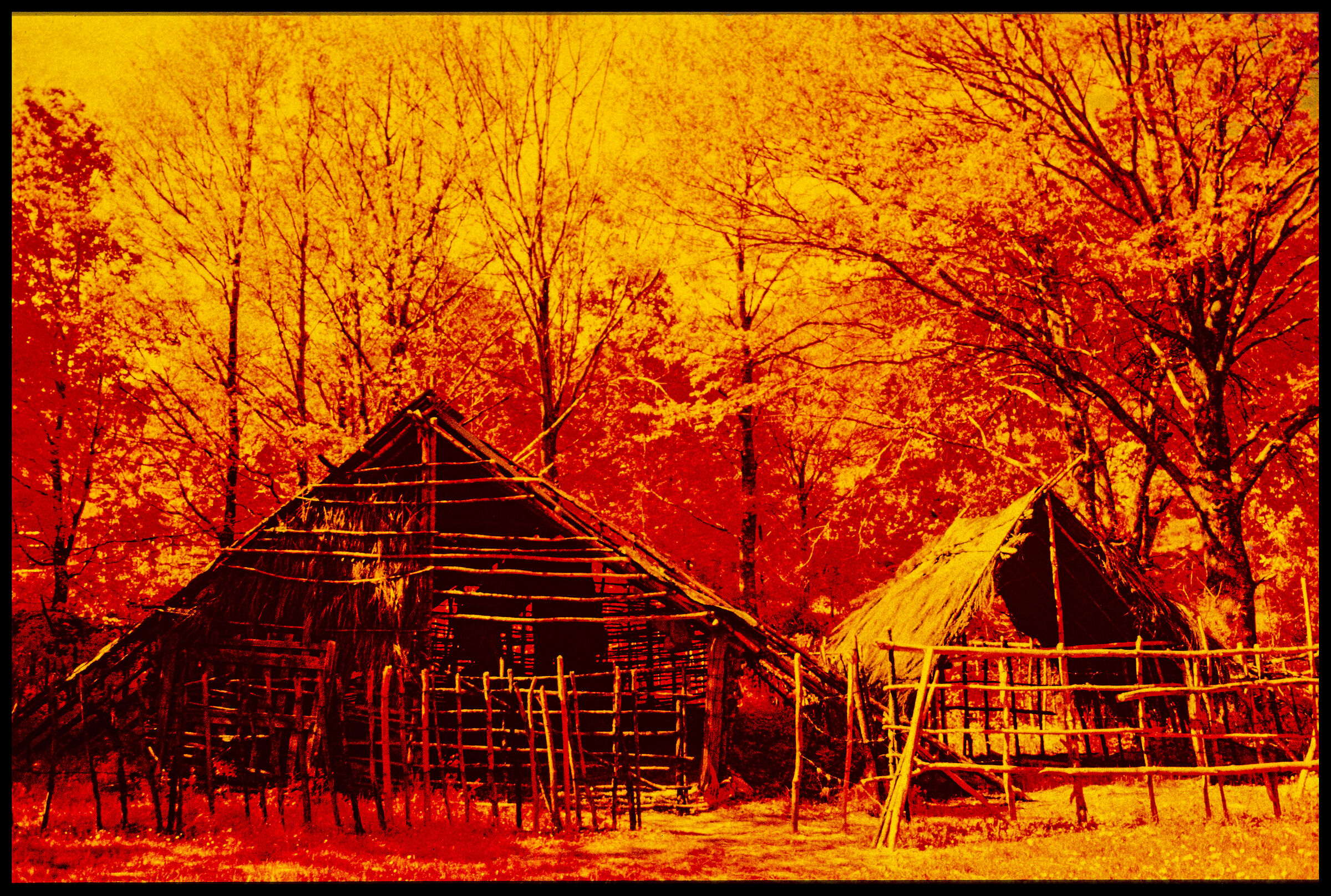 Kodak Ektachrom infrared