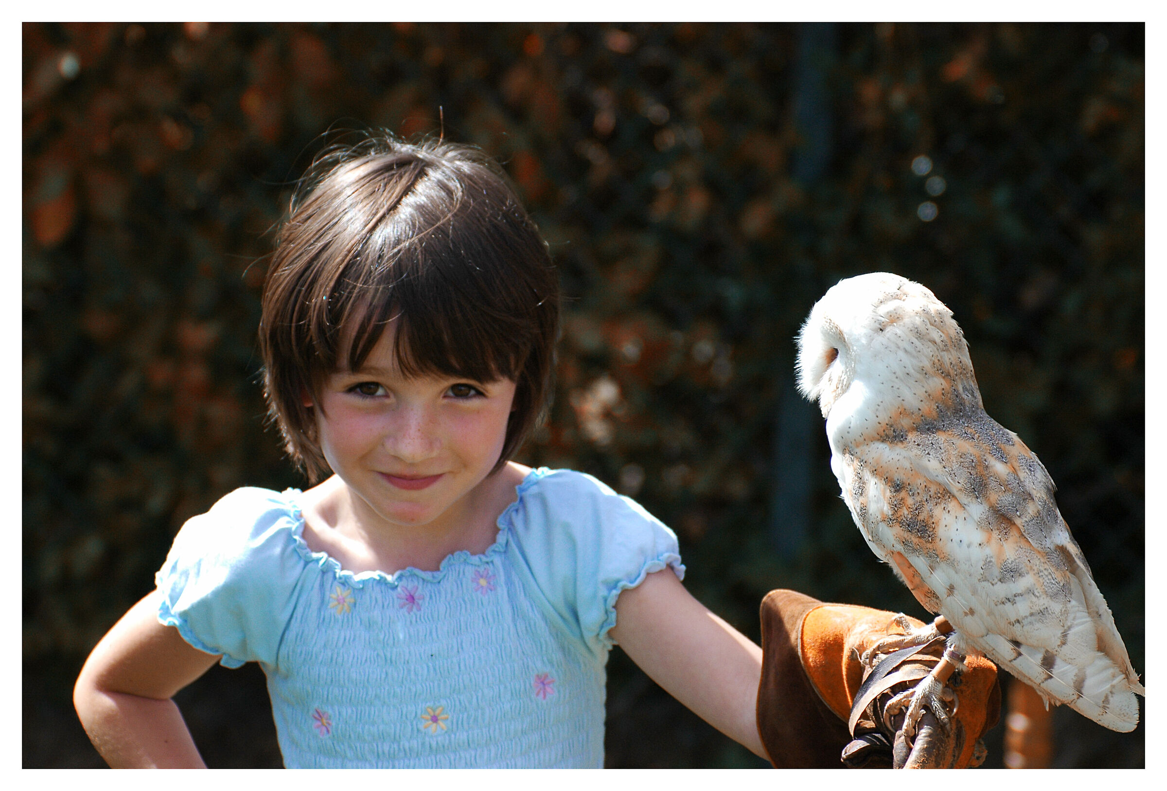 Bambina con barbagianni