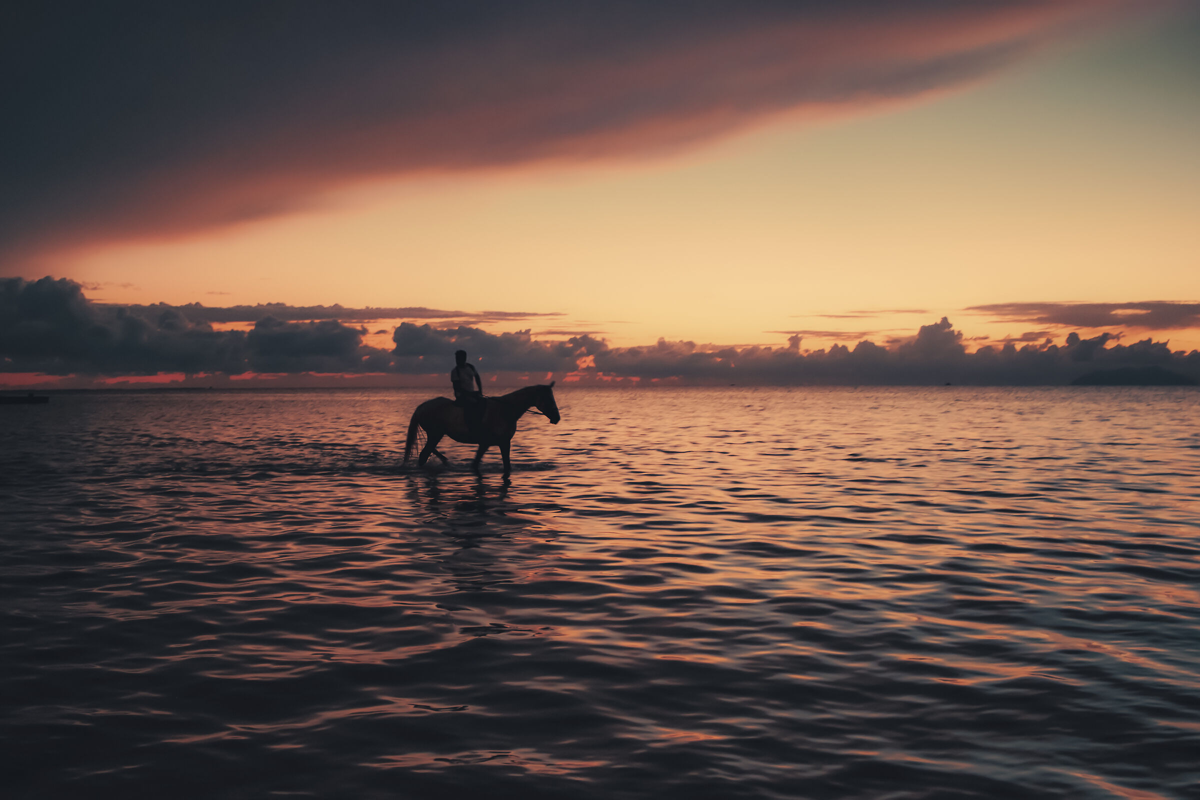 Horseback riding in the lagoon of Marsala