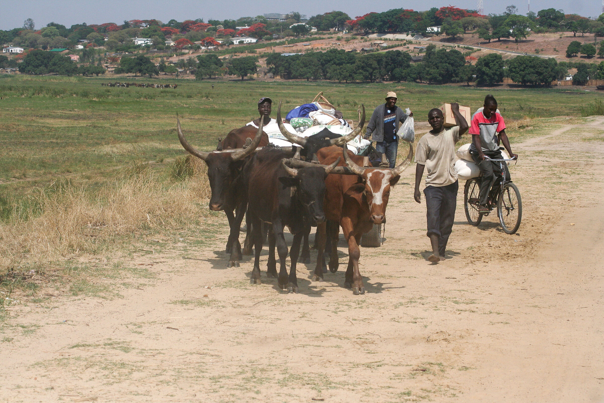 Trasportare in Afrika