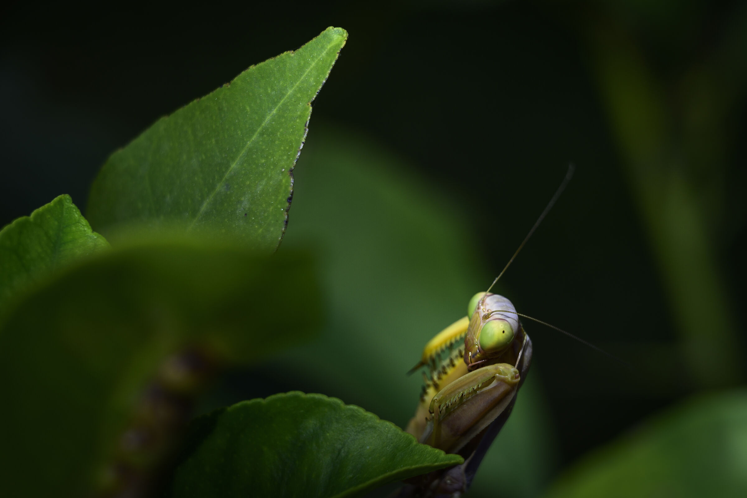 Violation of privacy