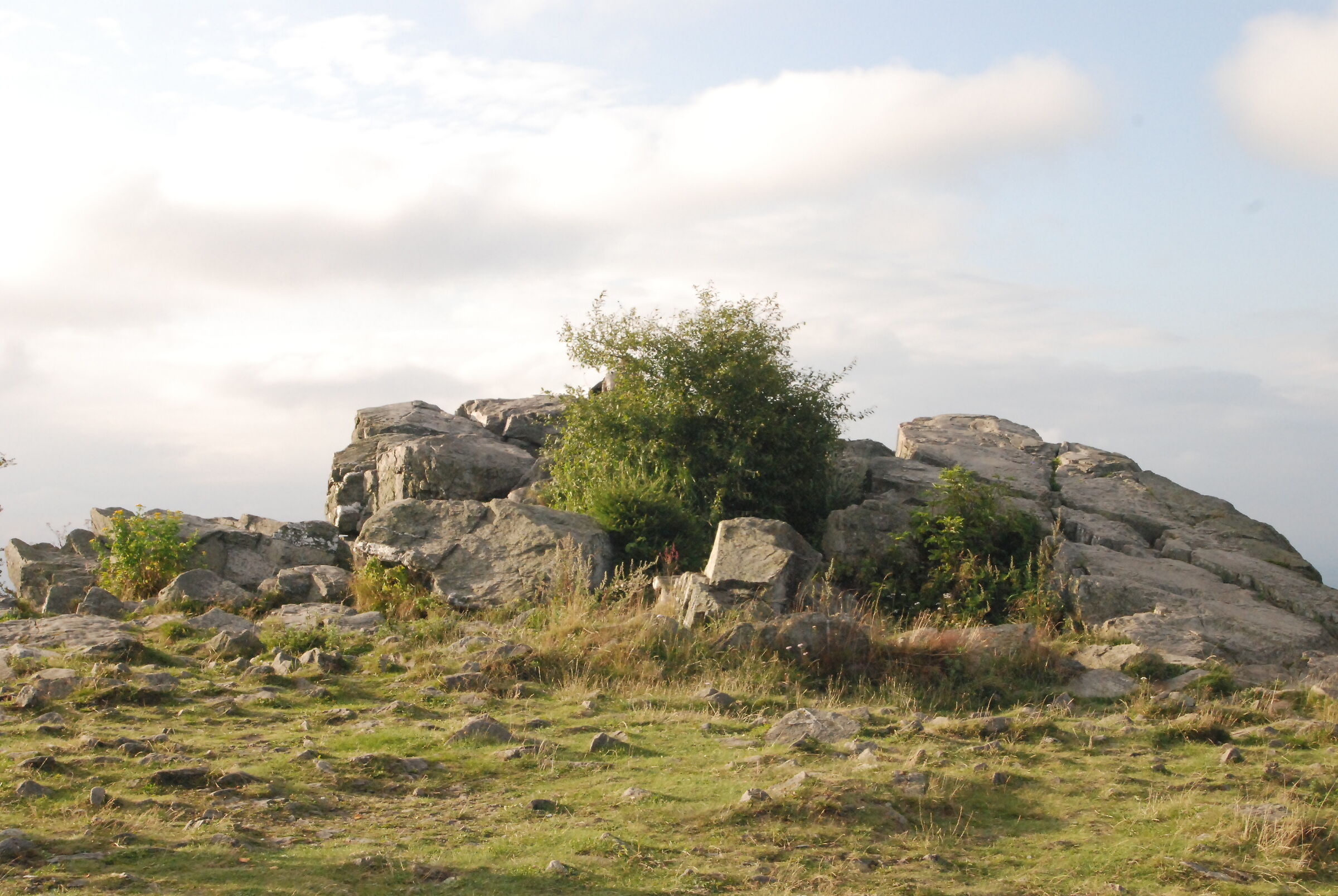 Germany, Taunus, Großer Feldberg, Brunhilde's bed