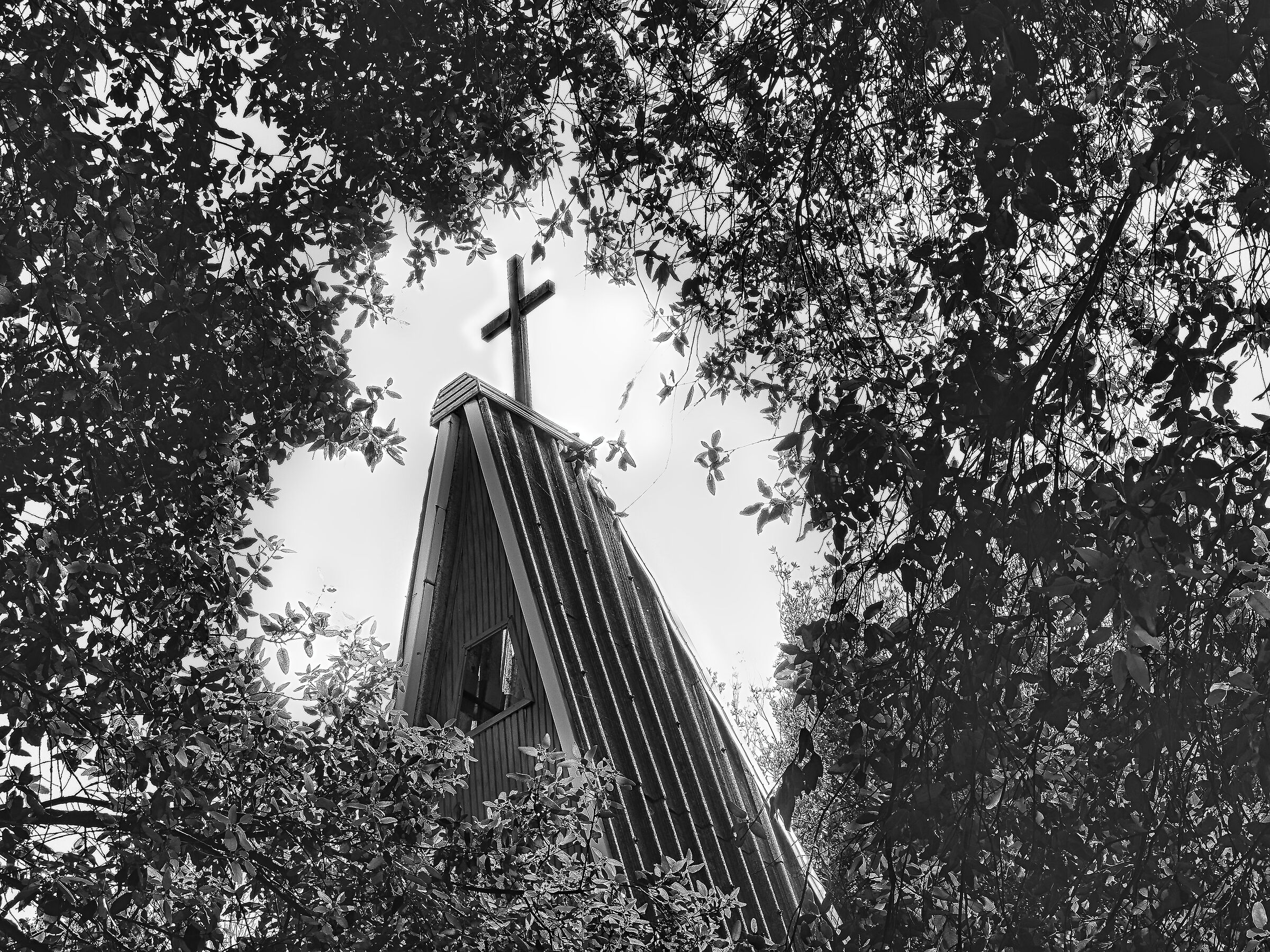 credo nel Dio che ha creato l'uomo non nel Dio che gli