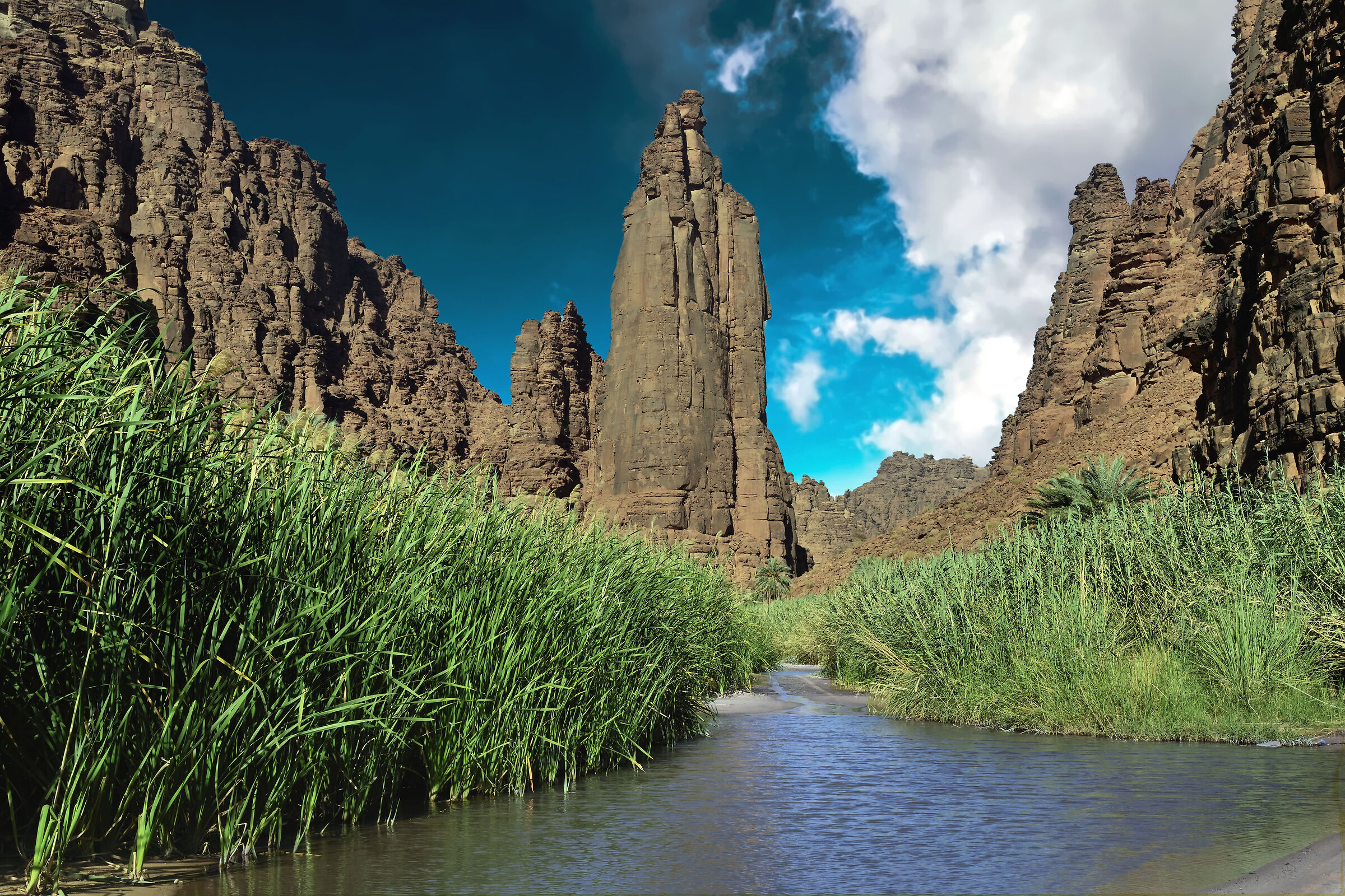 Saudi Arabia....Disha Valley  la valle delle meraviglie