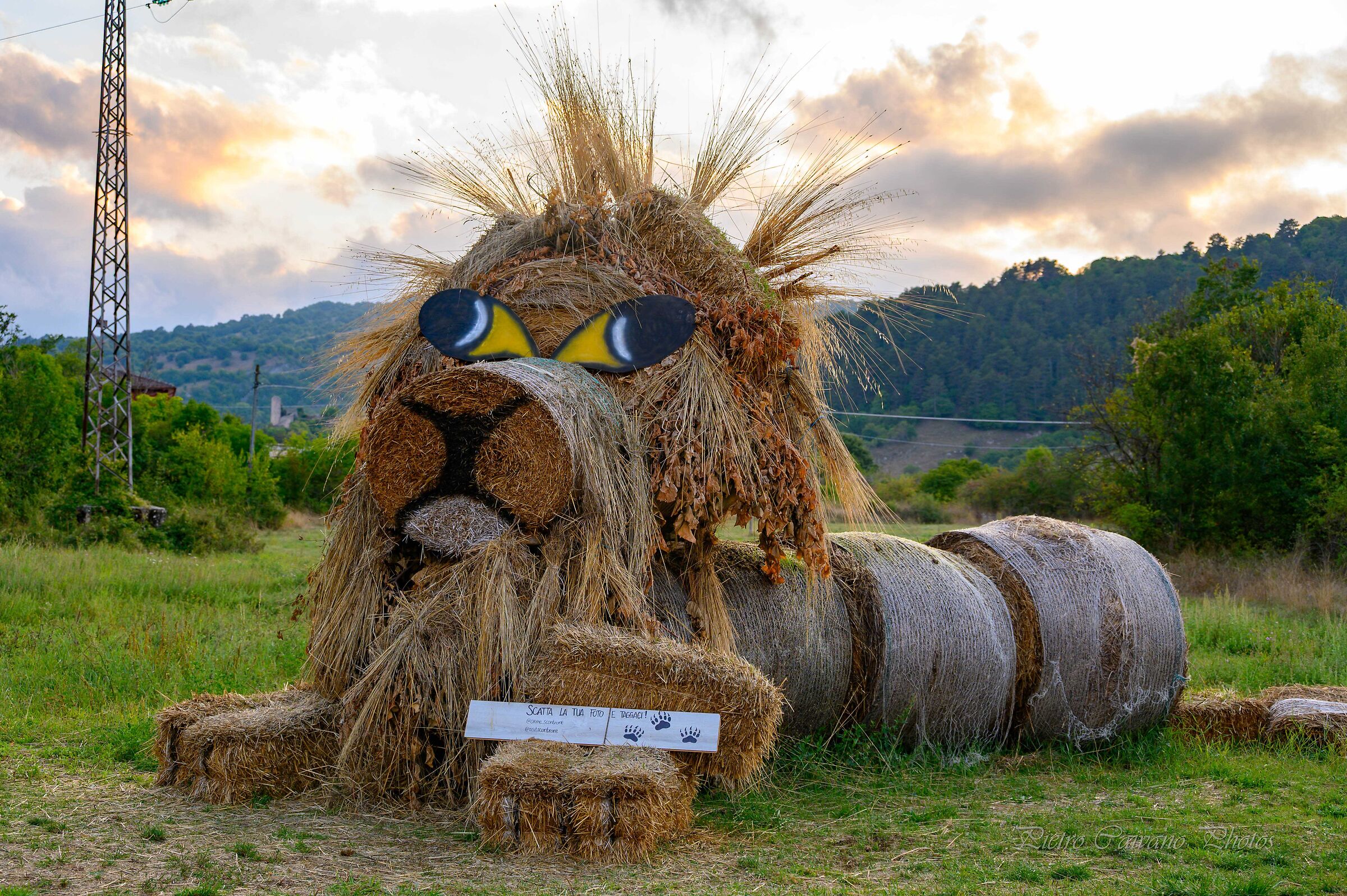 The Lion of Scontrone (AQ)