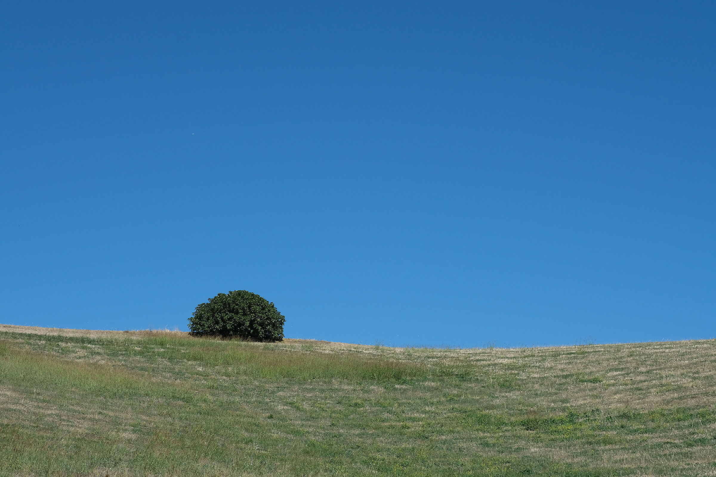 In the blue, the loneliness of the number one