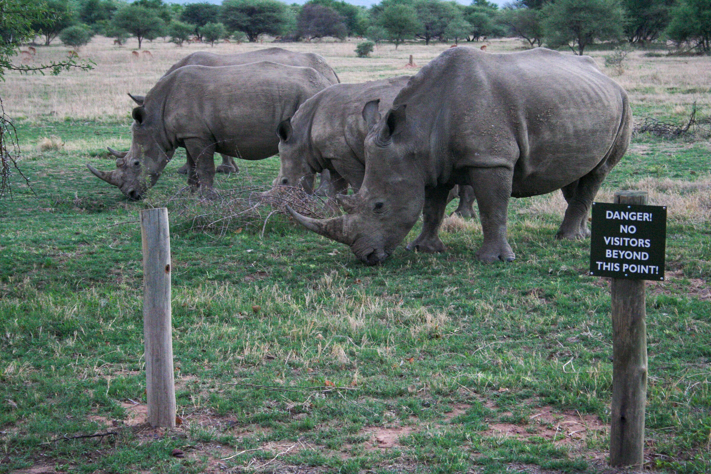 Pericolo...intuibile