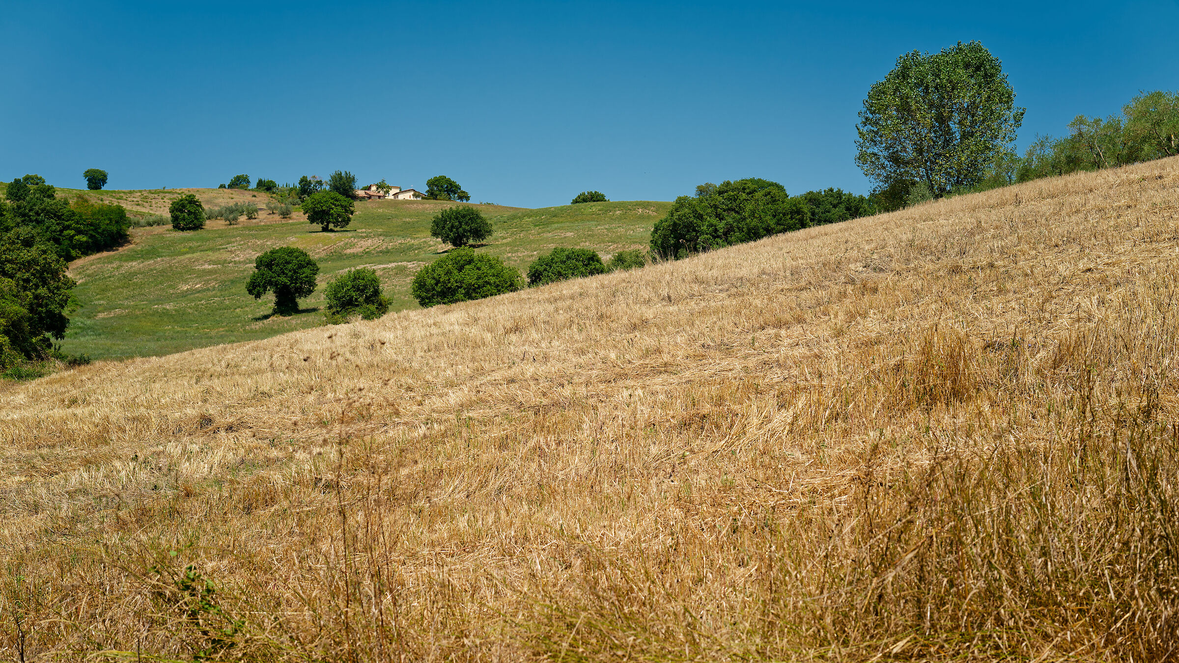 Umbria, 2025