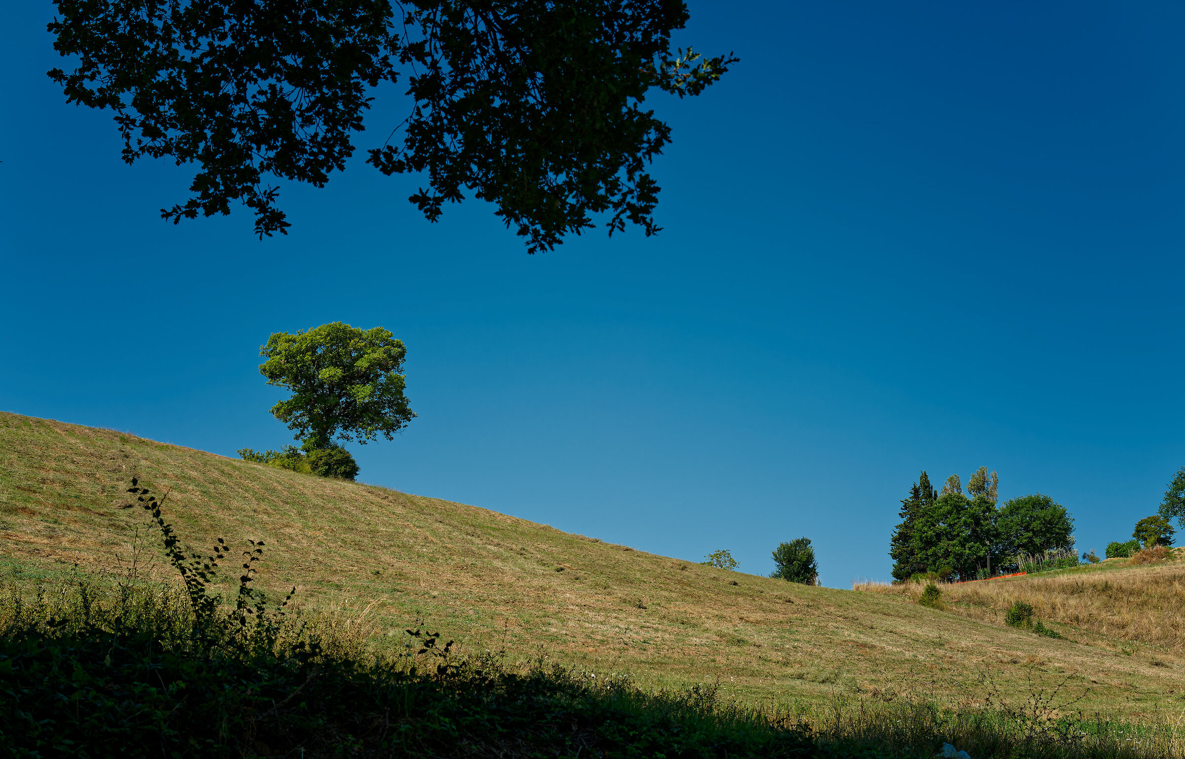 Umbria, 2025