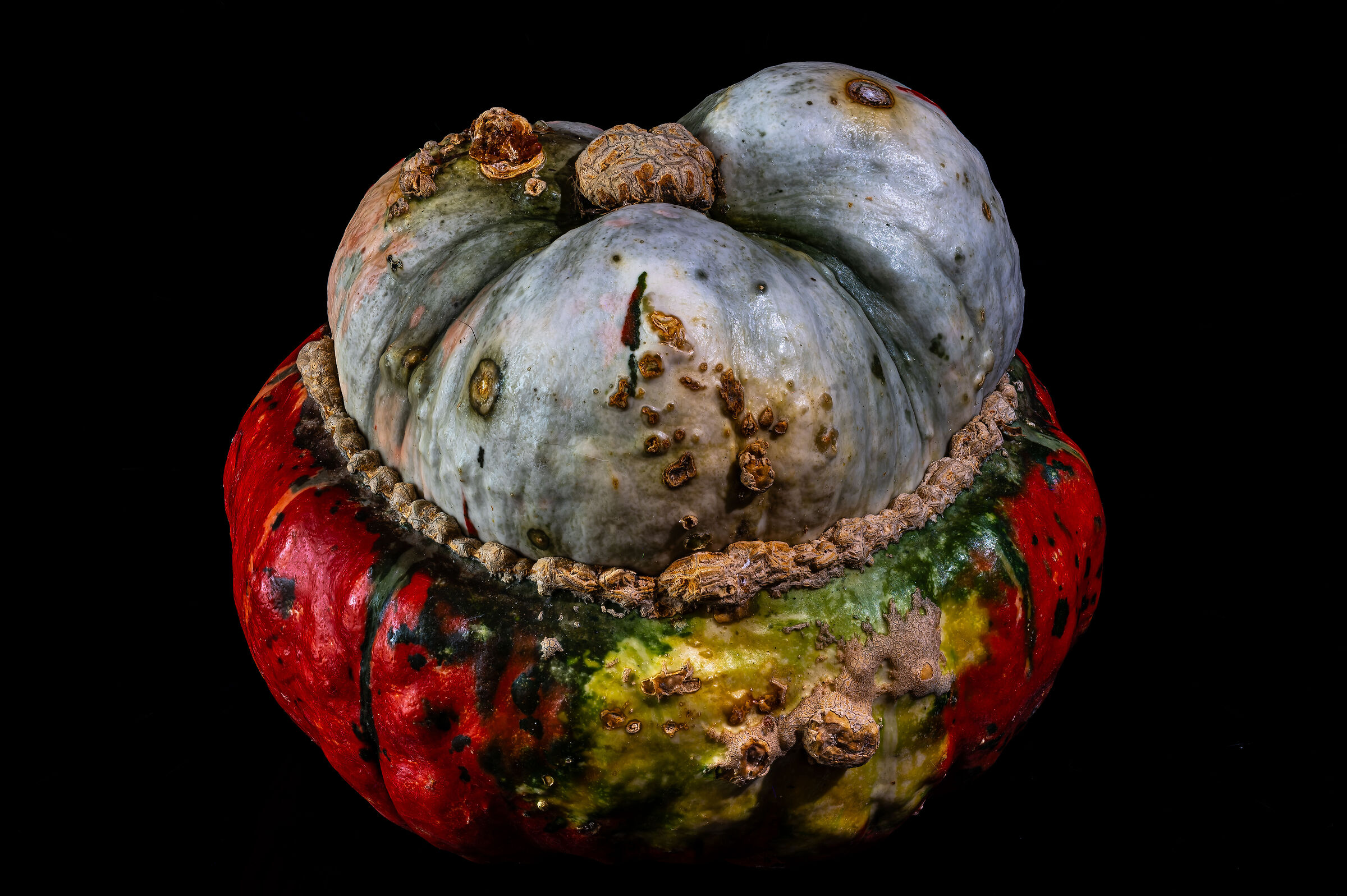 Zucca