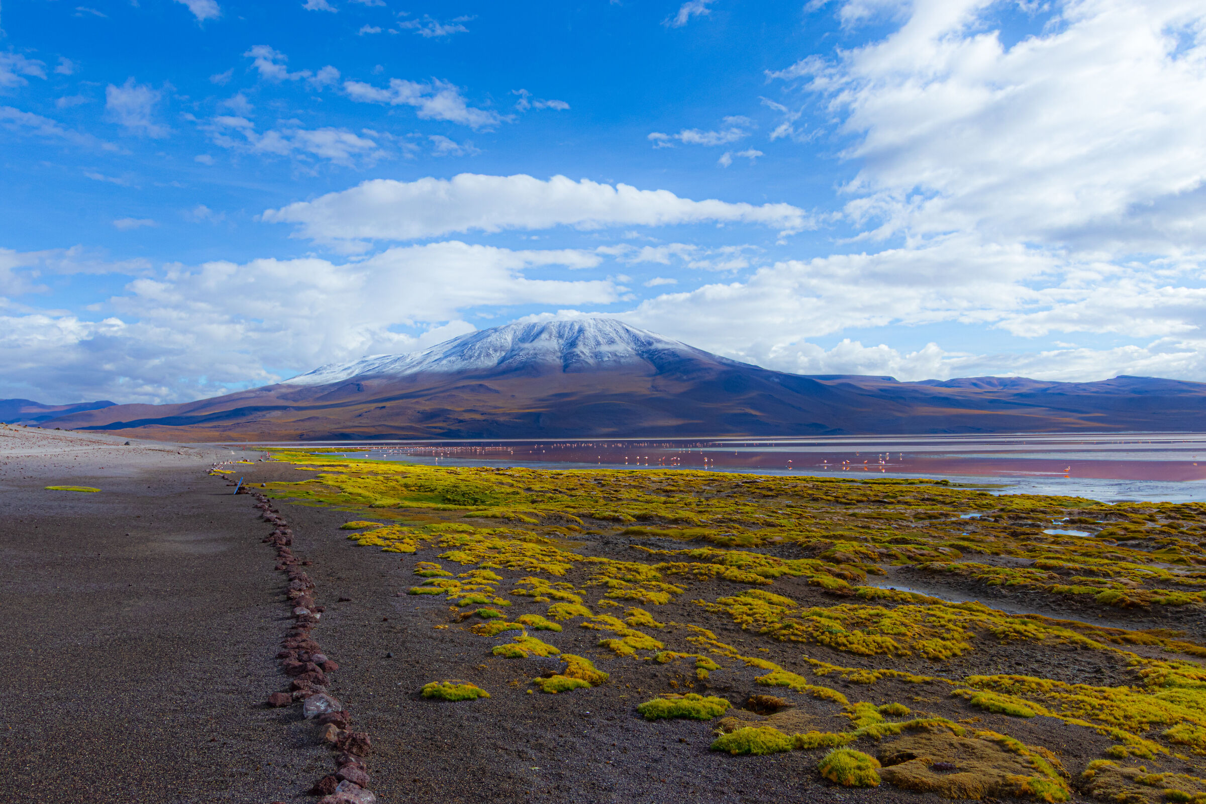 Laguna Colorada