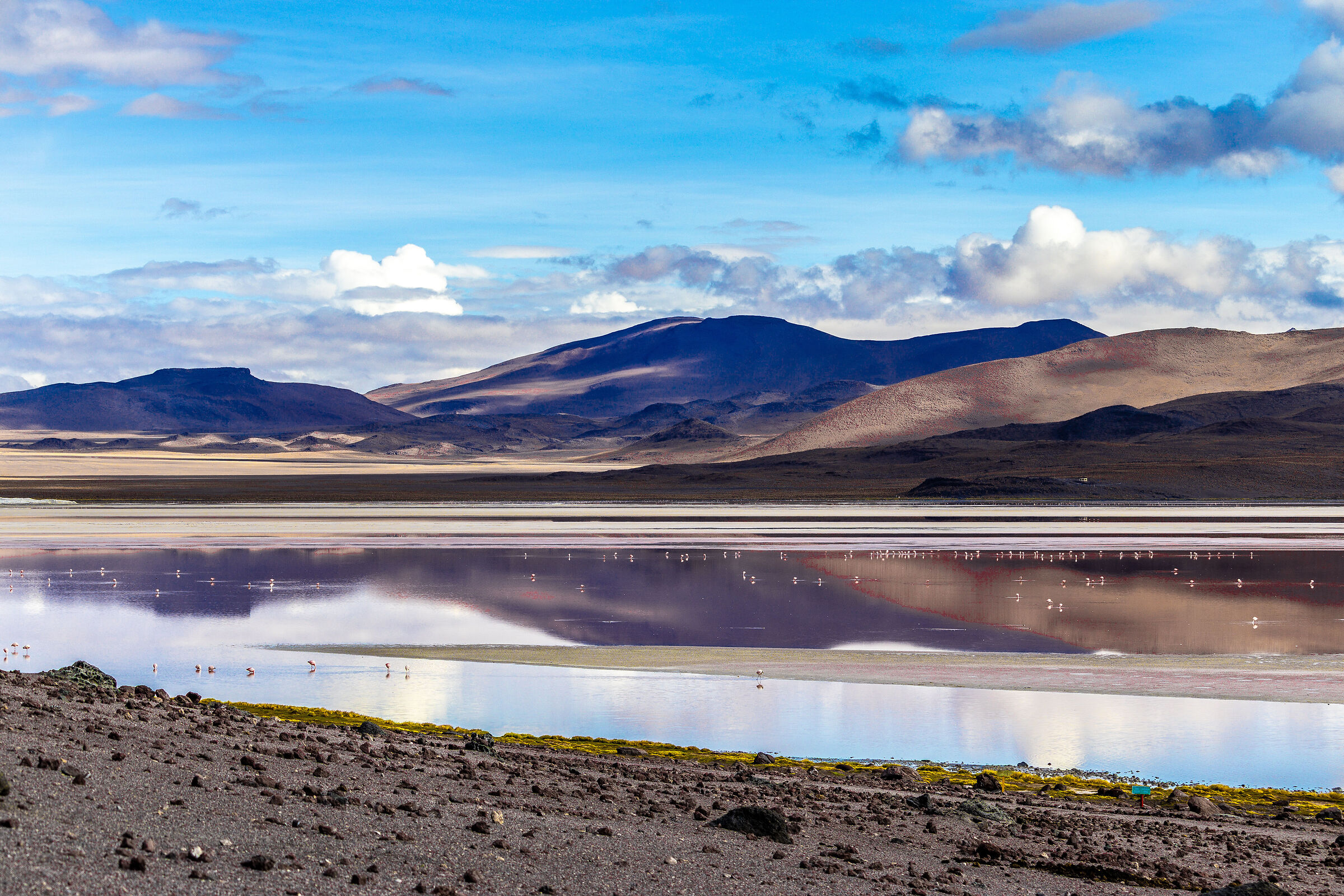 Panoramico ma non molto