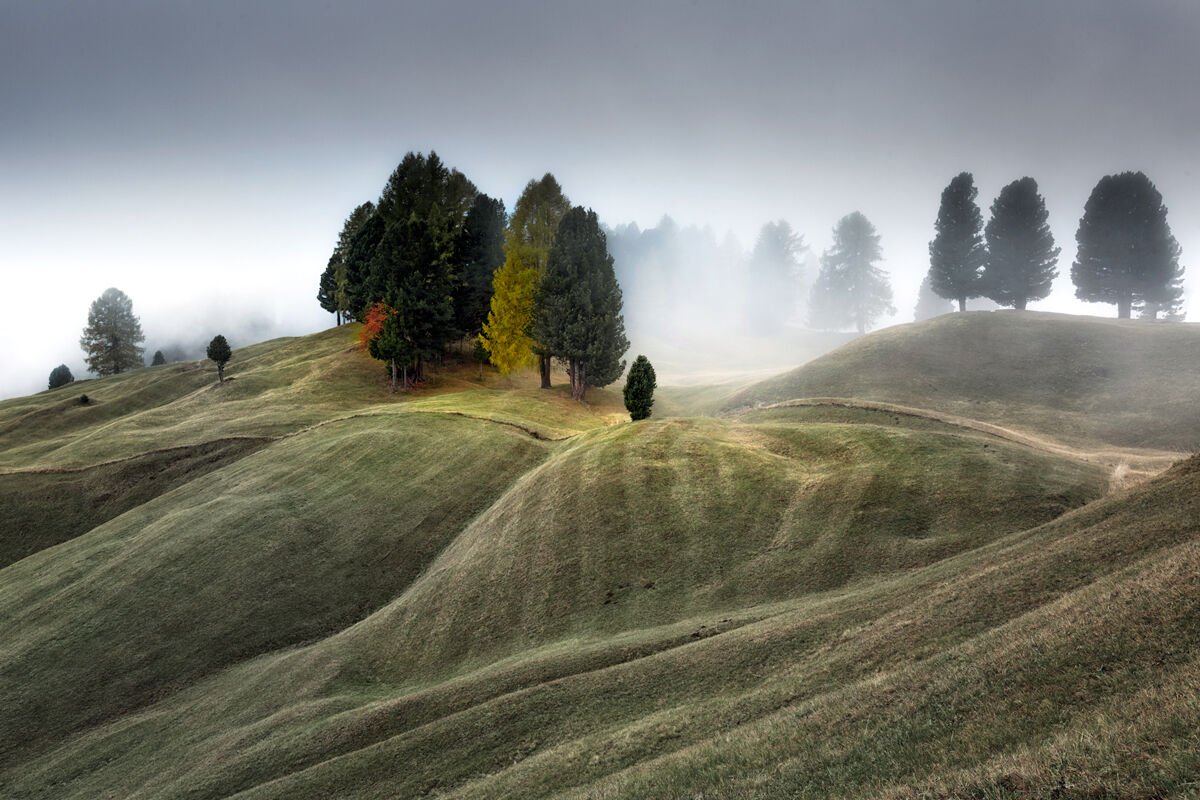 La nebbia agli irti colli