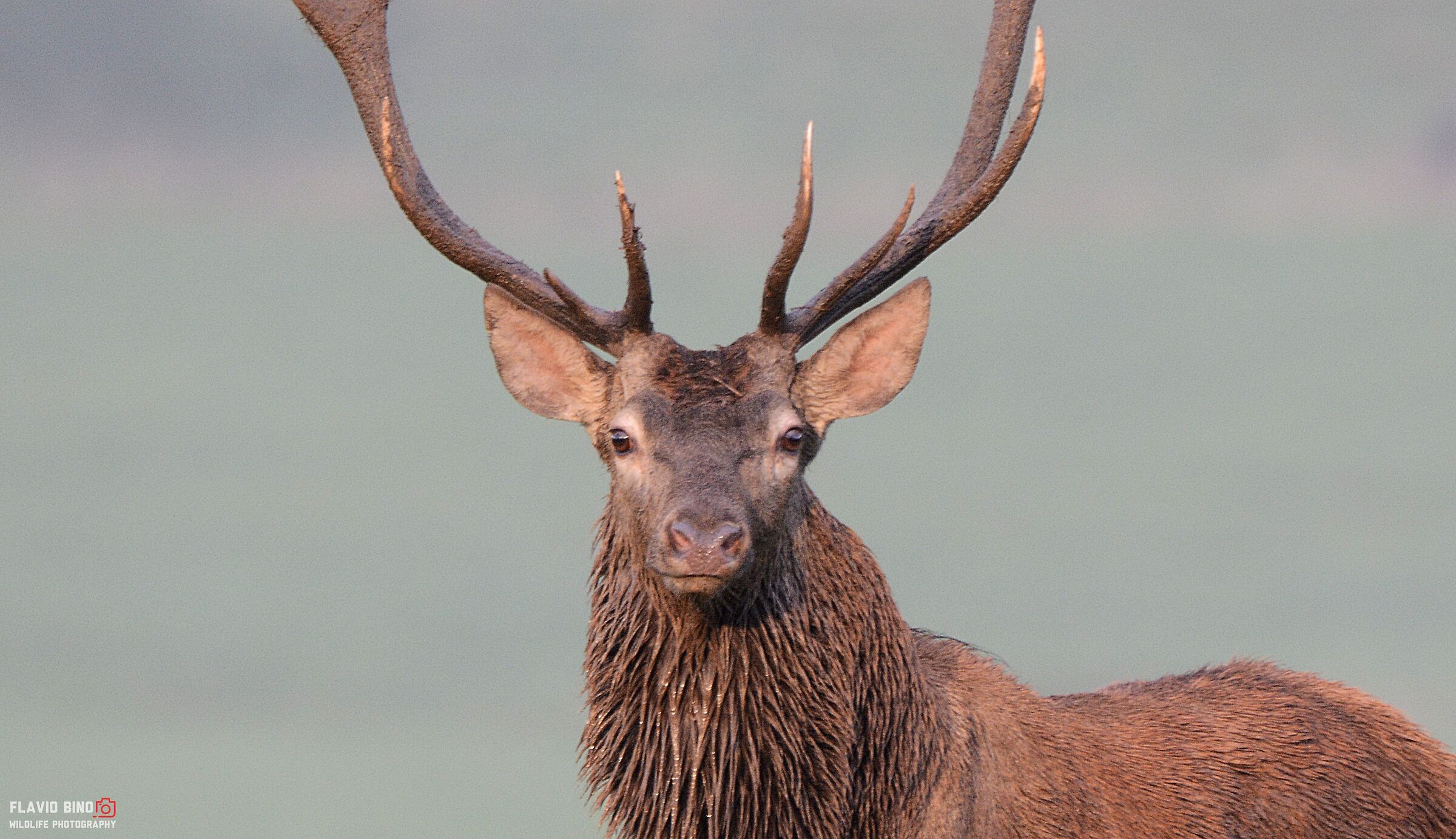 Clipping a Close-Up