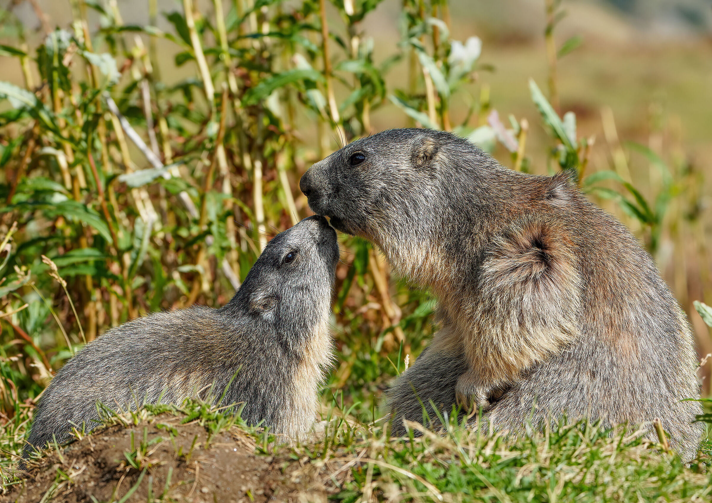 Mom is always mom...