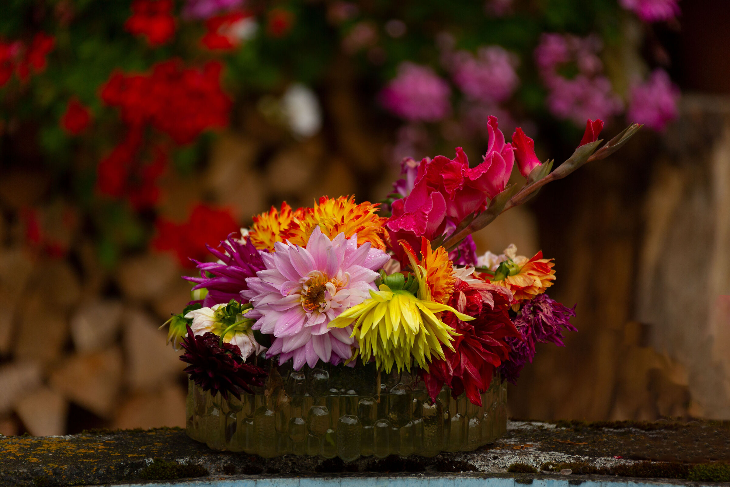 Una sferzata di colori