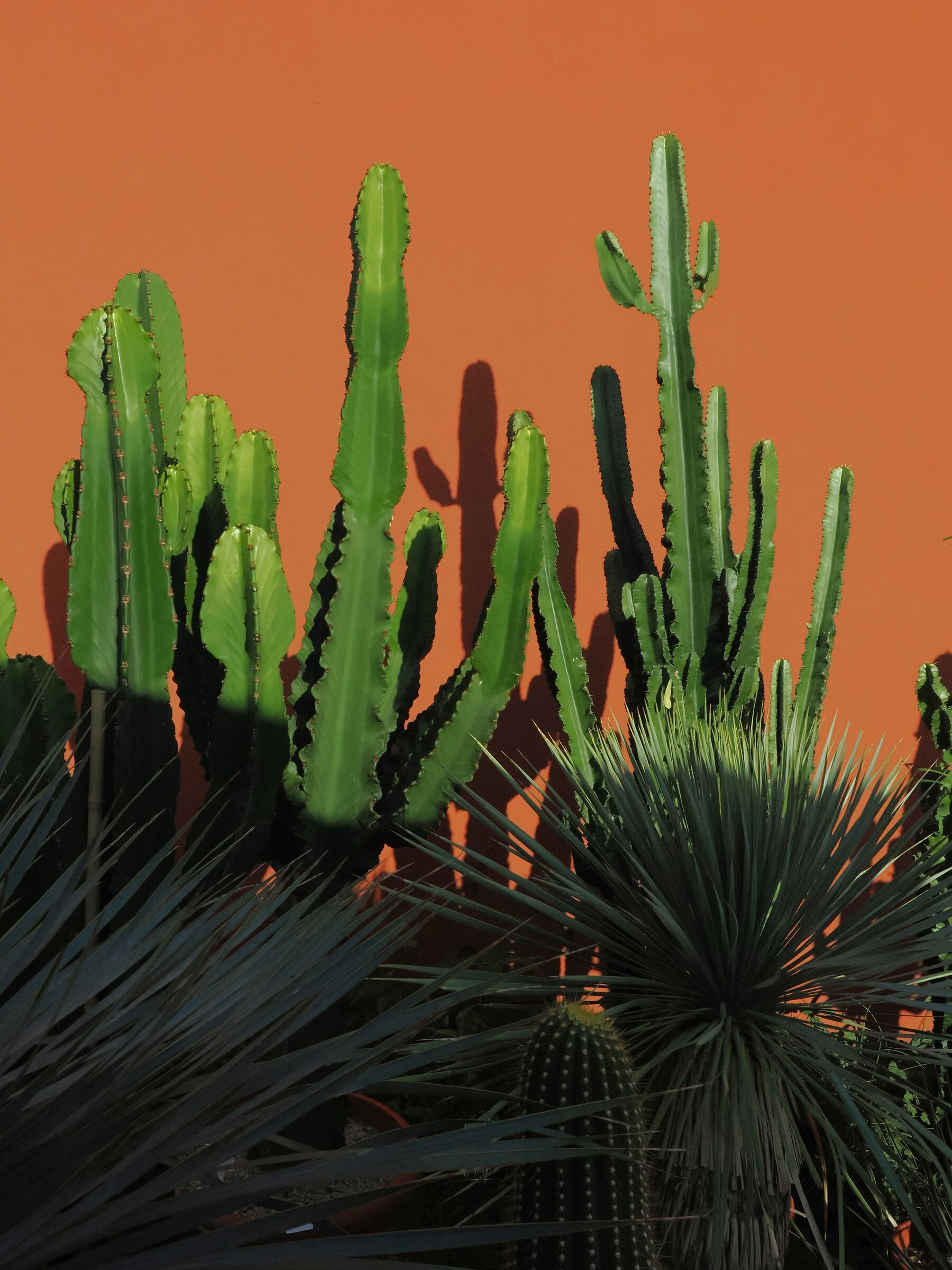 México en la ciudad