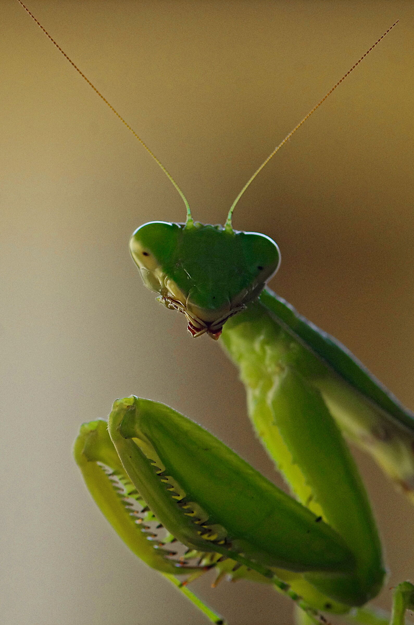 Excuse? You say to me ?