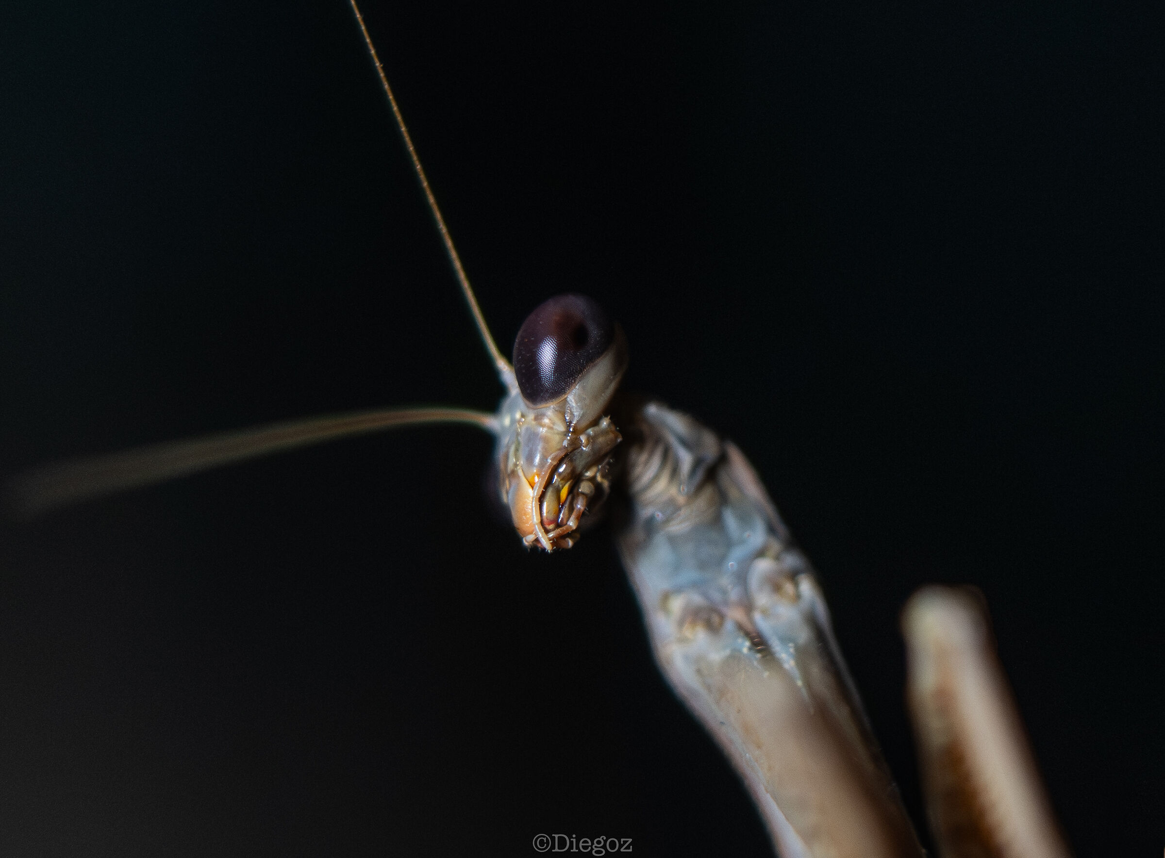 Untitled Photo