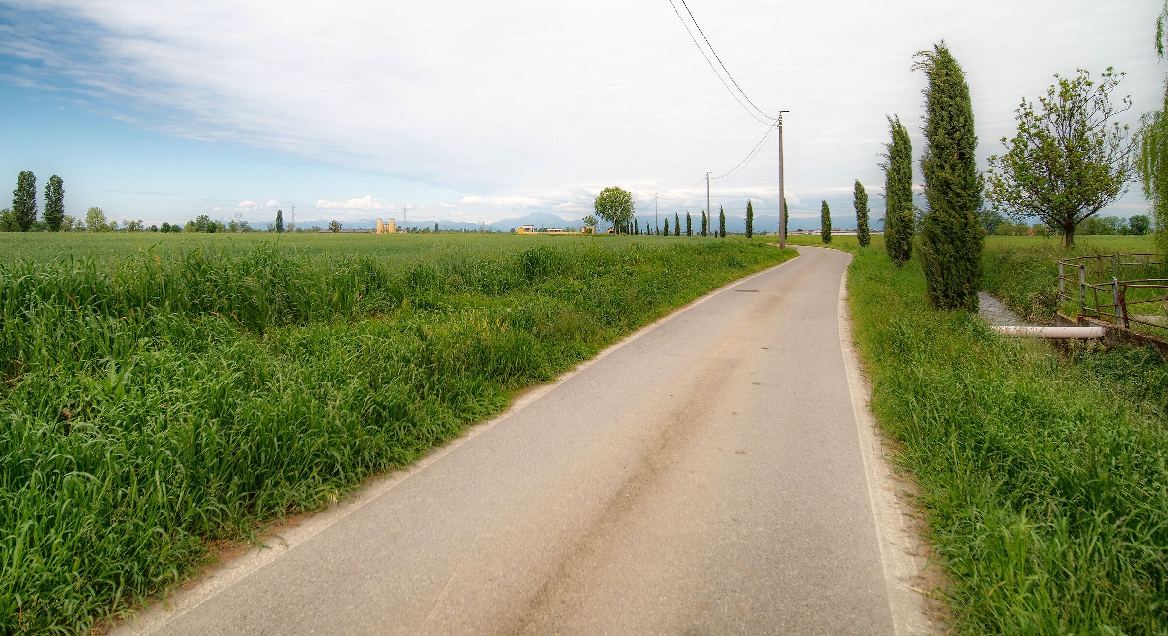 Untitled Photo