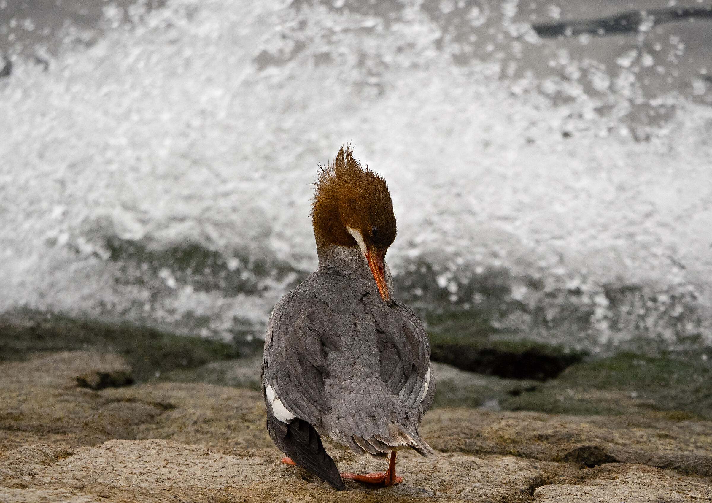 waiting for better times