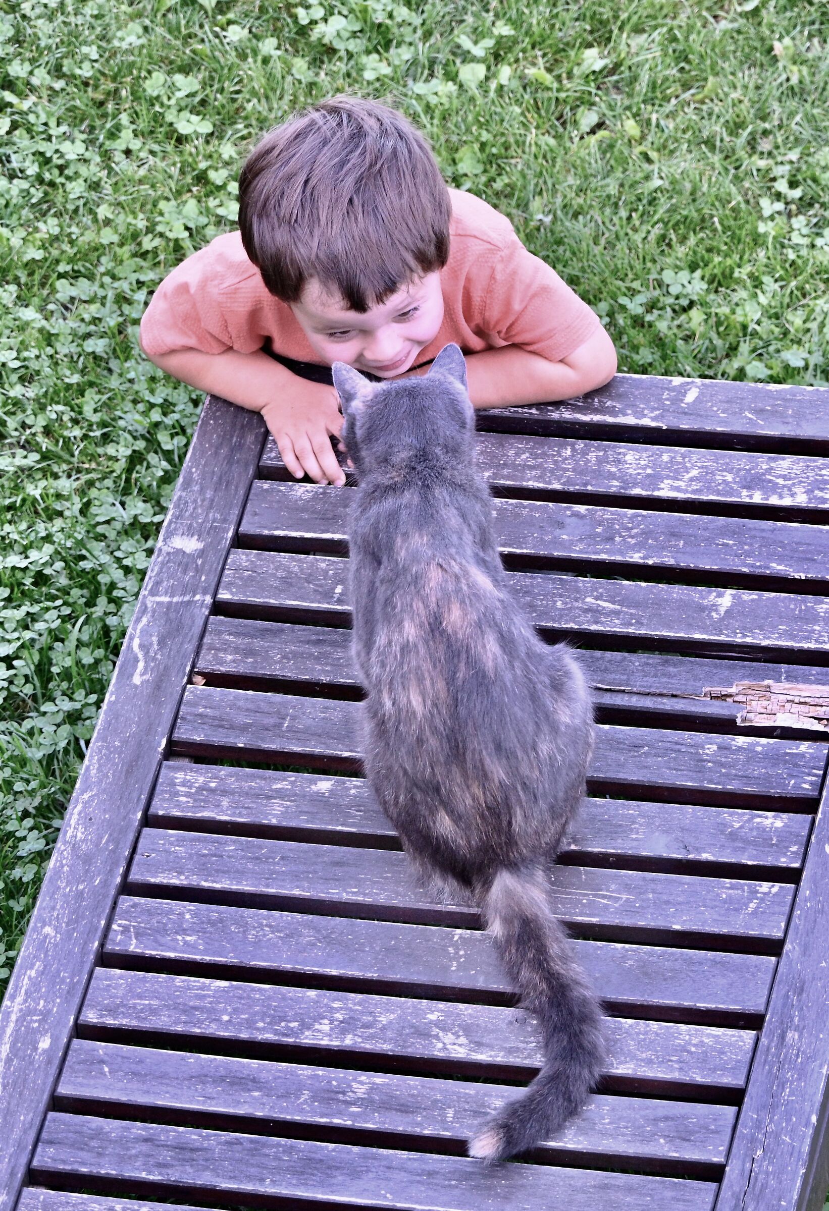 Grandson Anton communicates with the cat