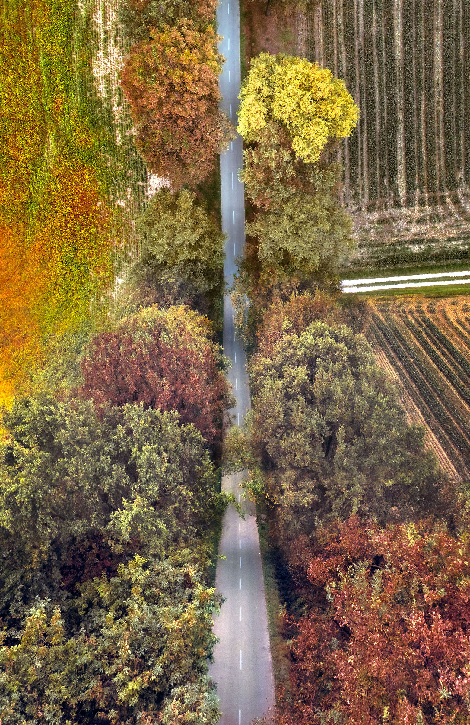 Effetto curvatura