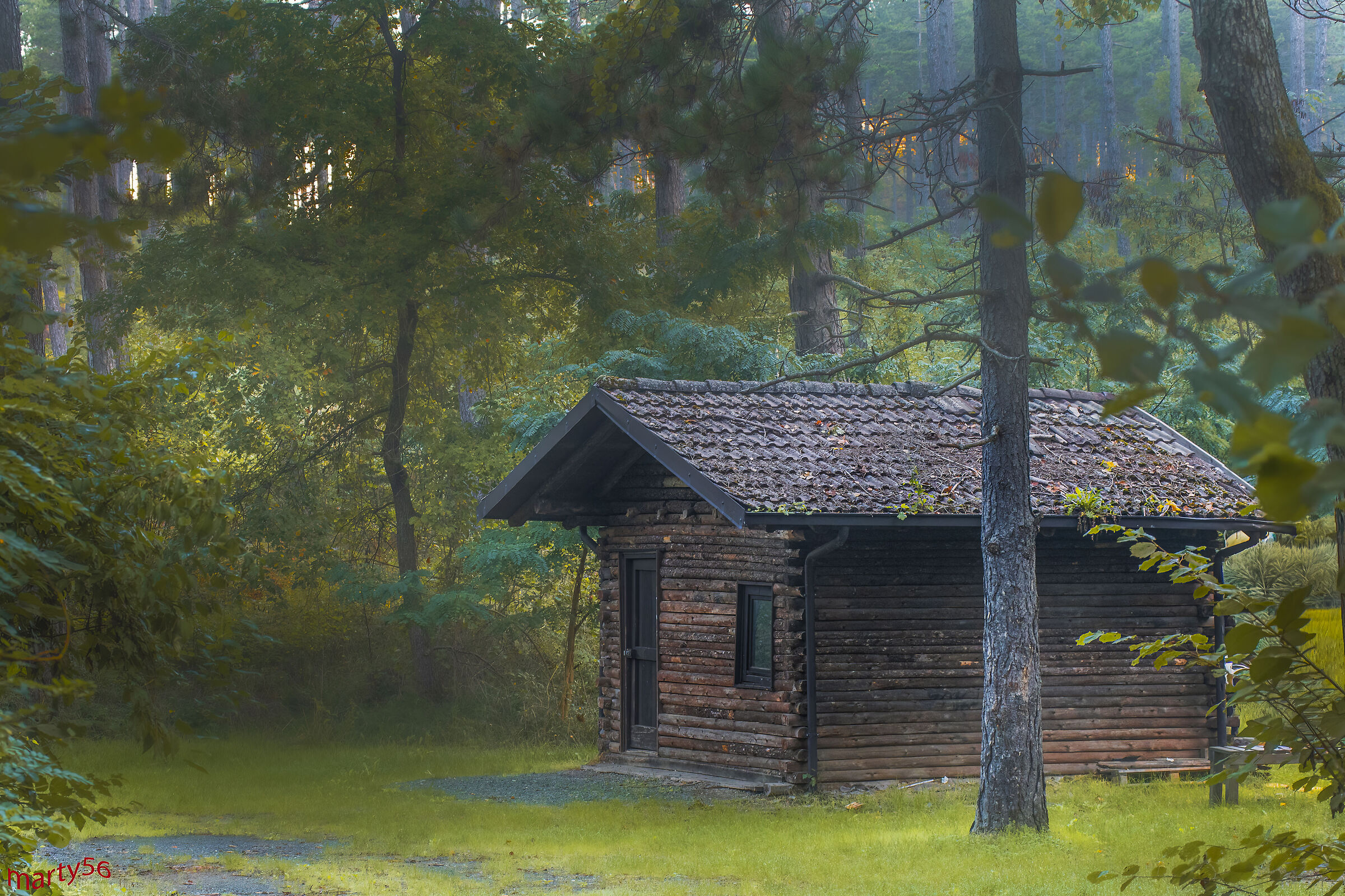 An old song said I want a little house in Canada