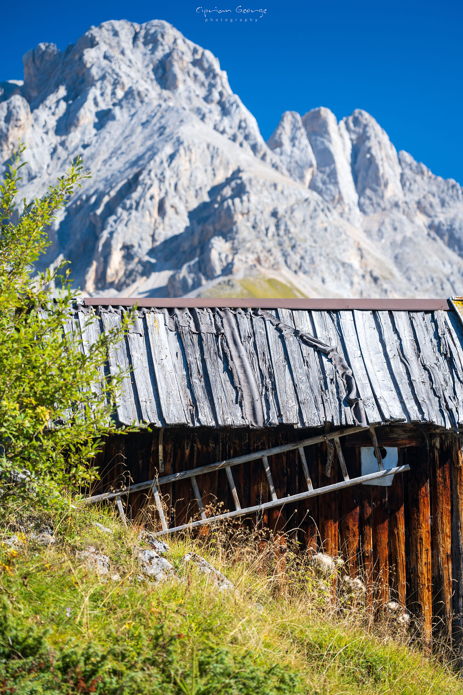Prospettive di Fuciade