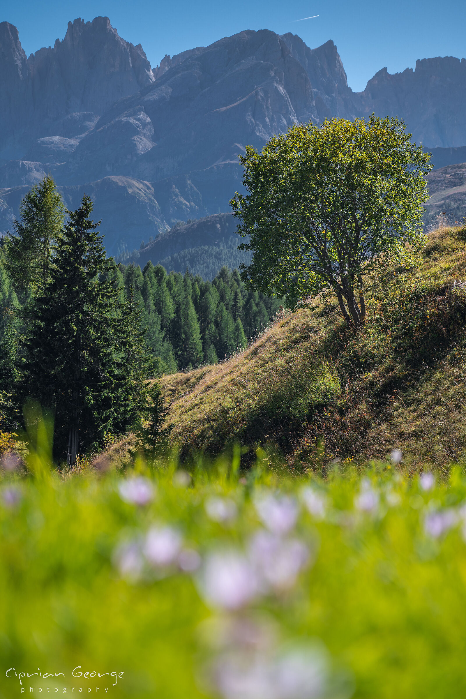 Sole di settembre sul Gruppo Focobon