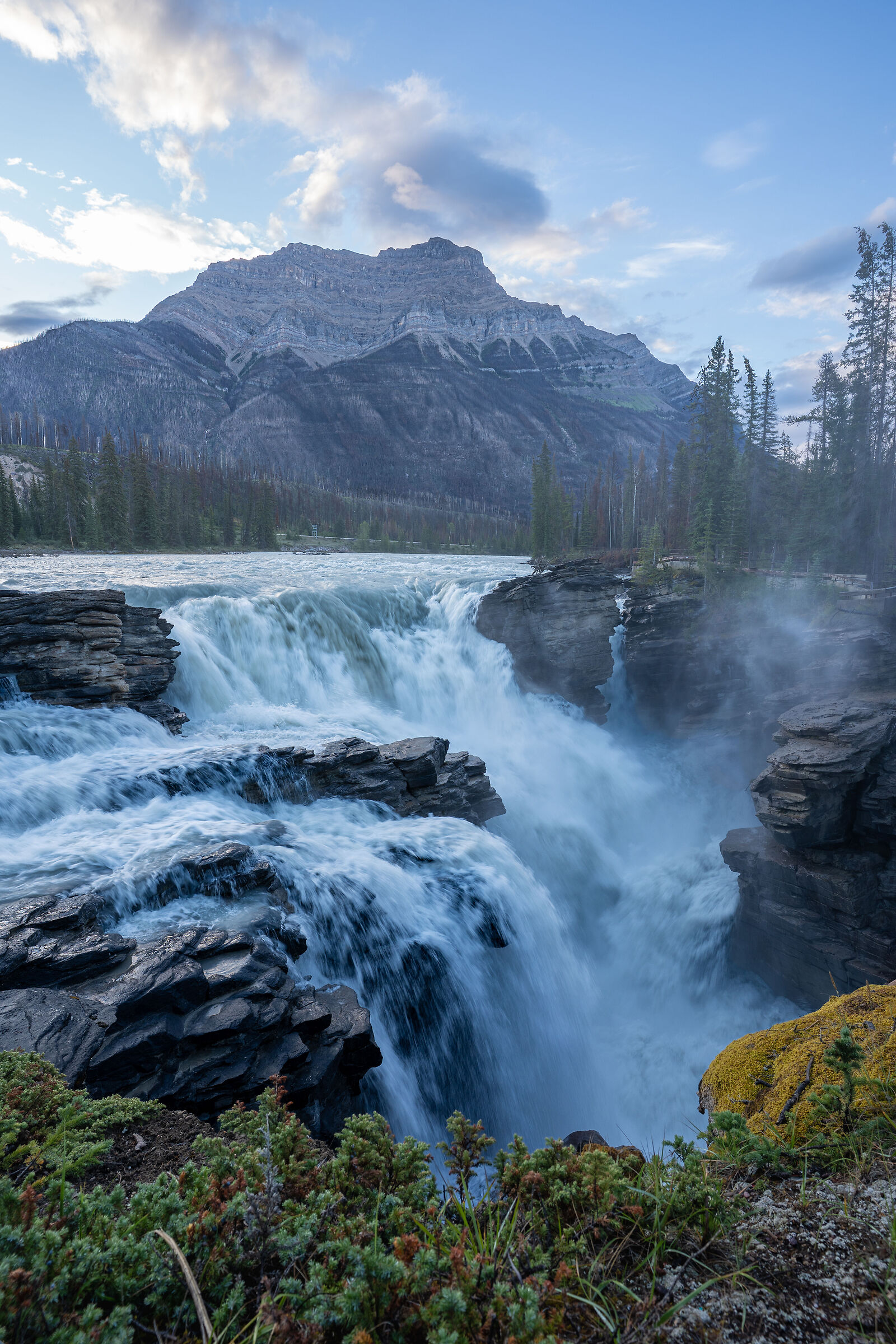 Athabasca River Falls