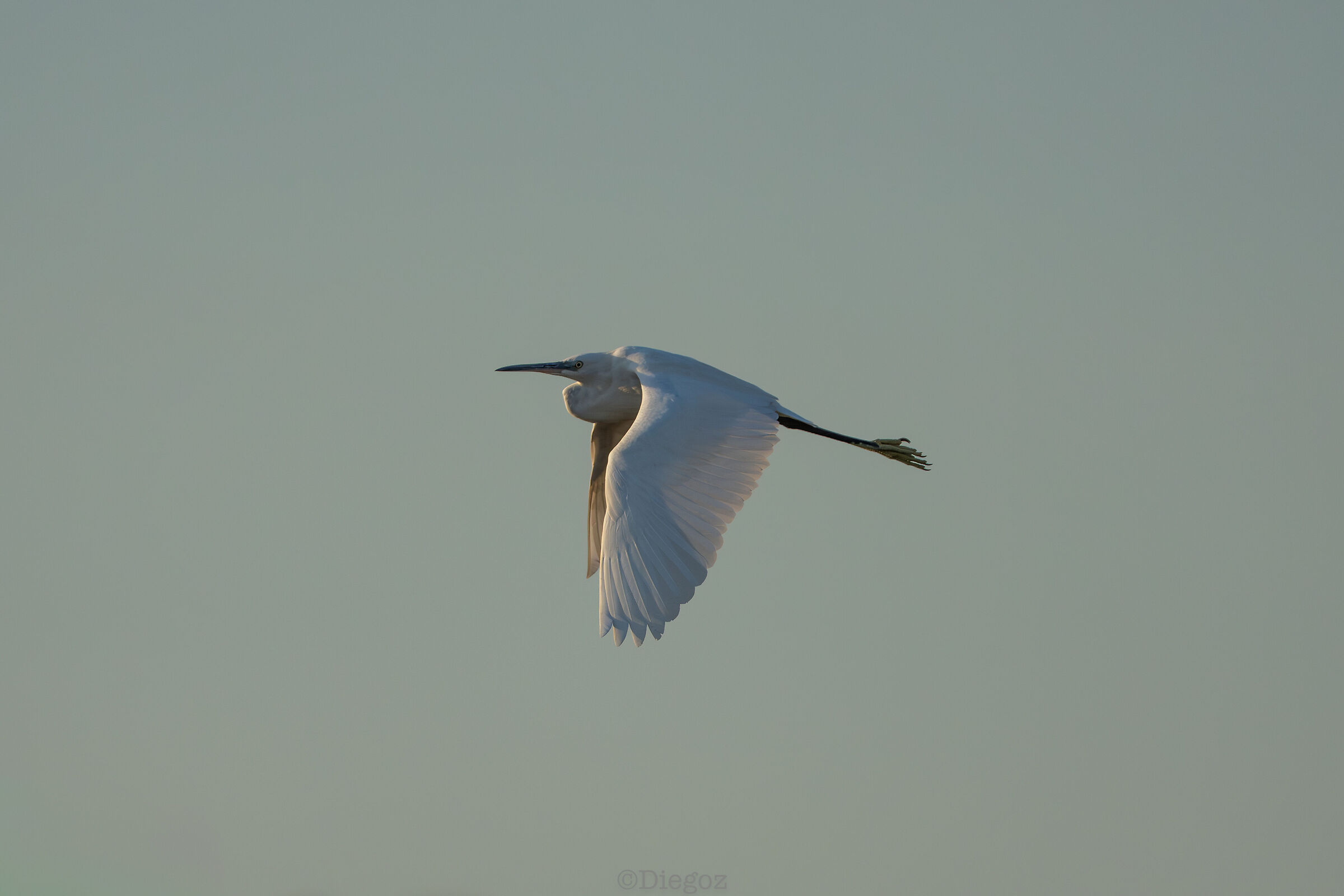 Untitled Photo