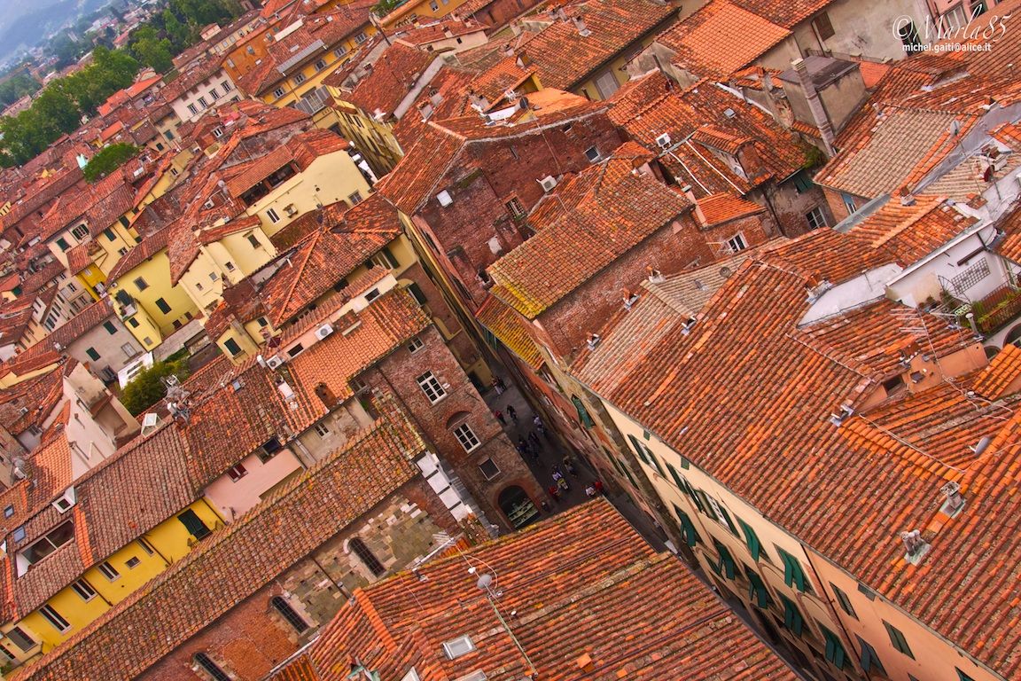 Tetti di Lucca