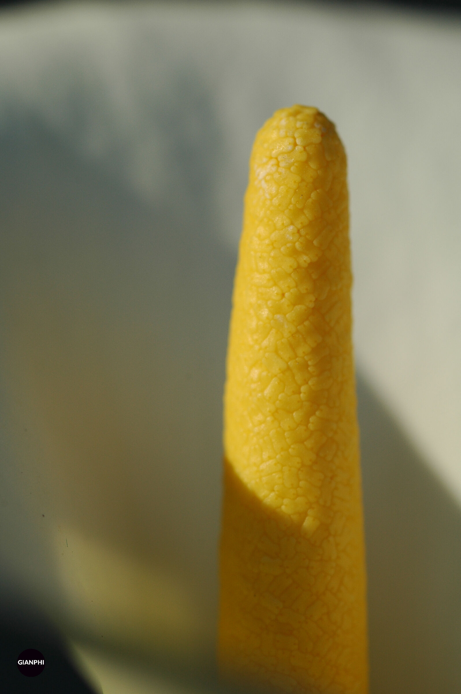 Untitled Photo