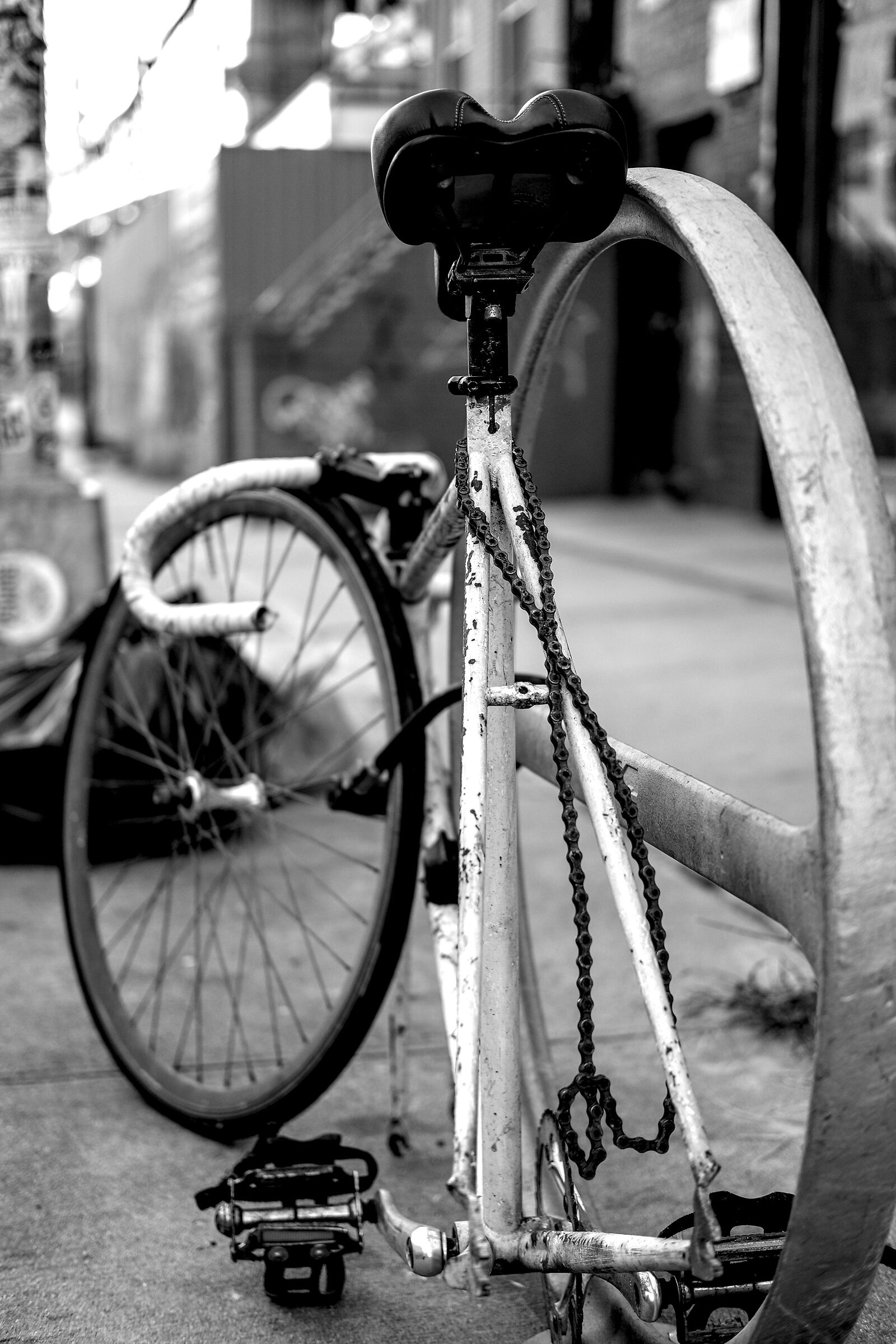 Fine corsa a Williamsburg