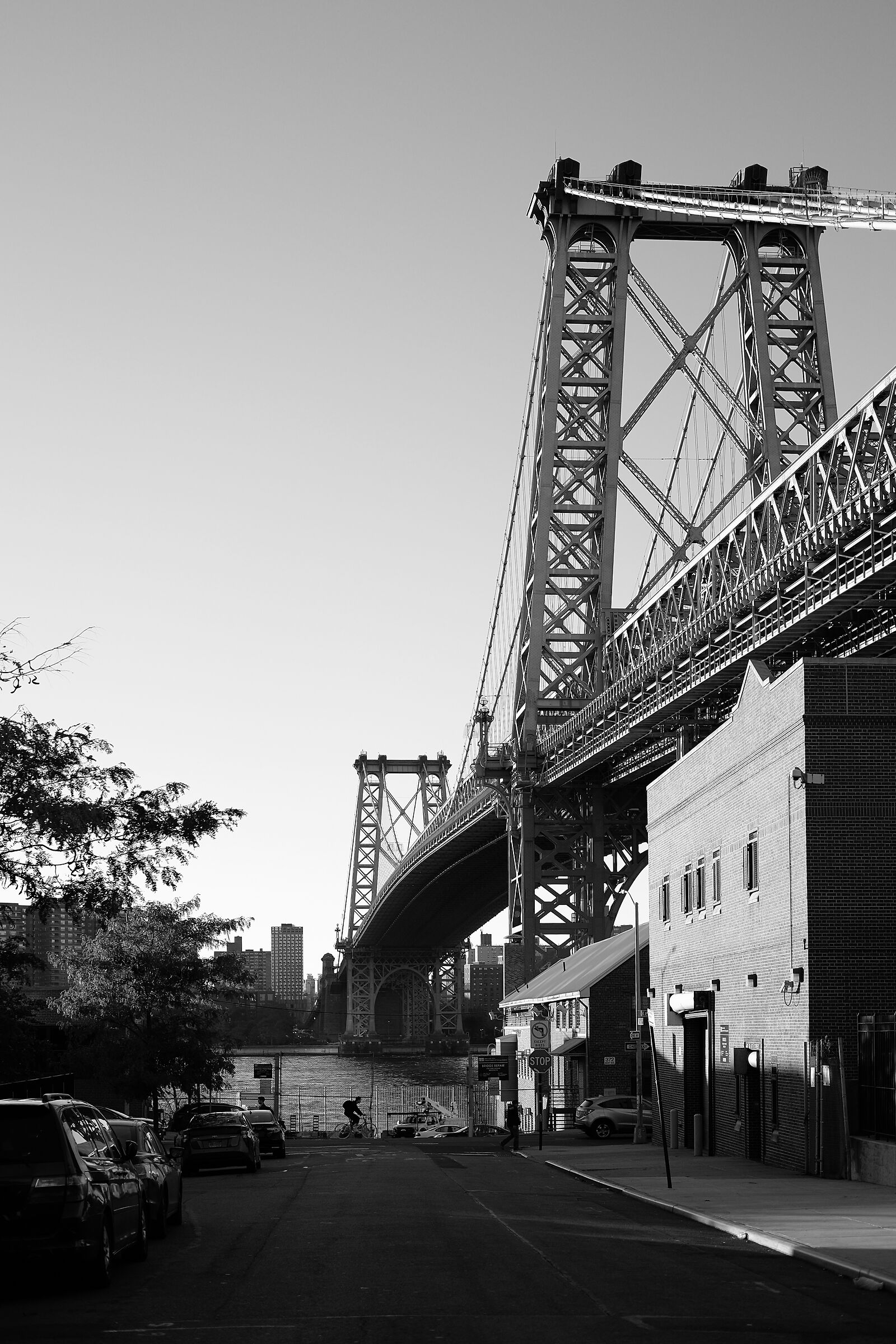 Il ponte di Williamsburg