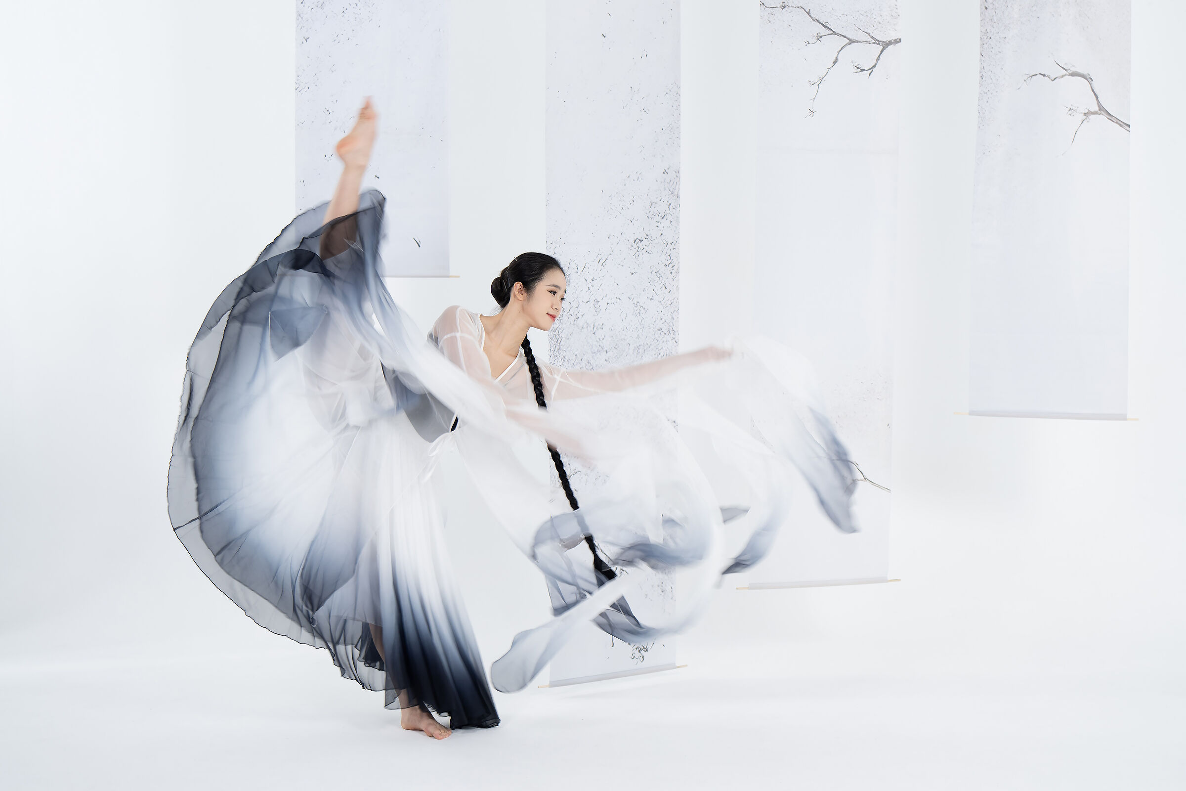 Ballerino