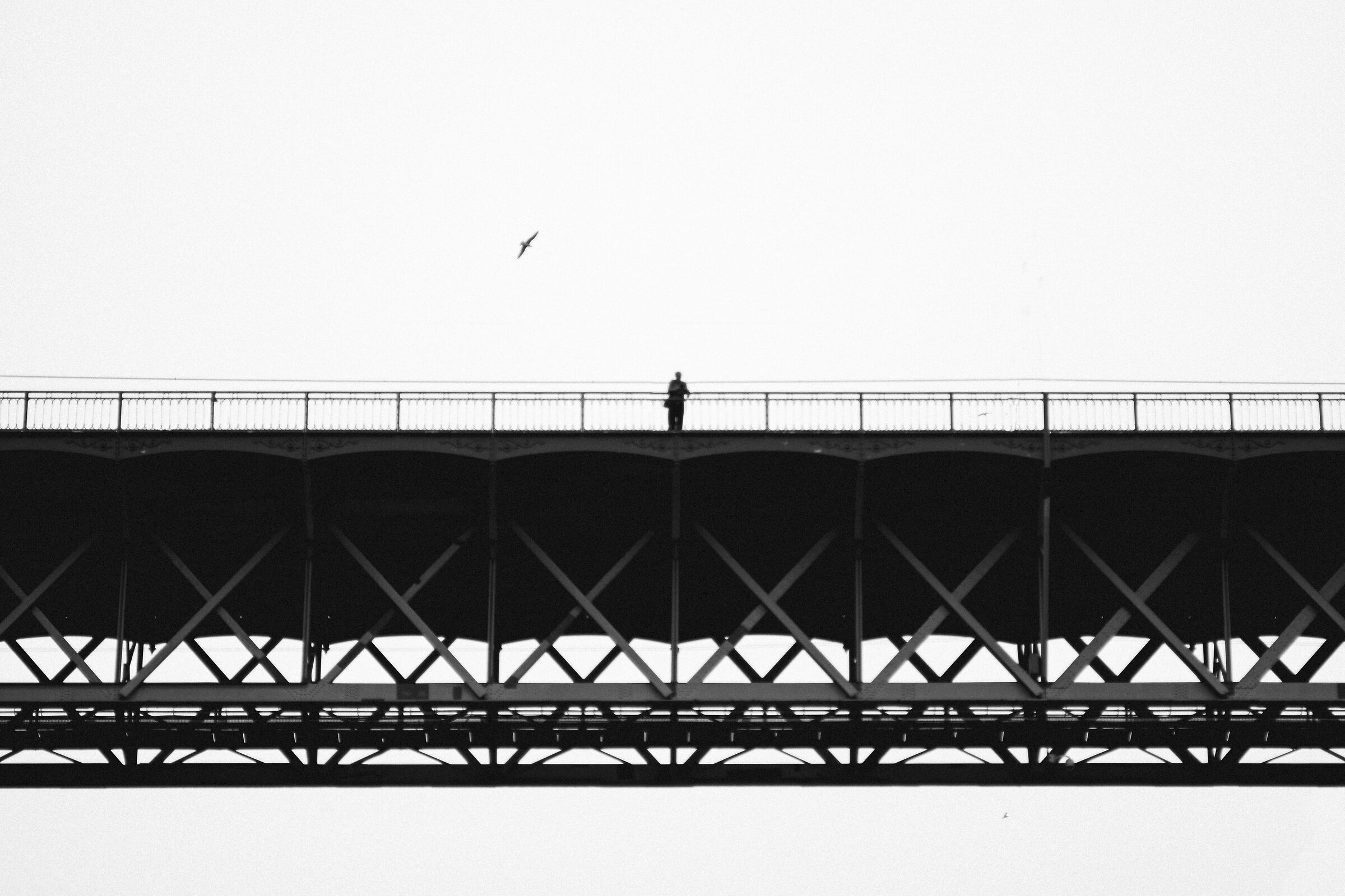Sul ponte di Porto