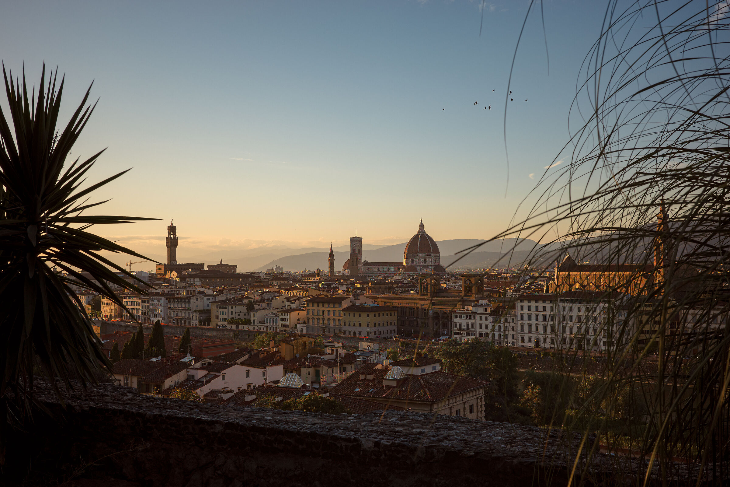 Florence